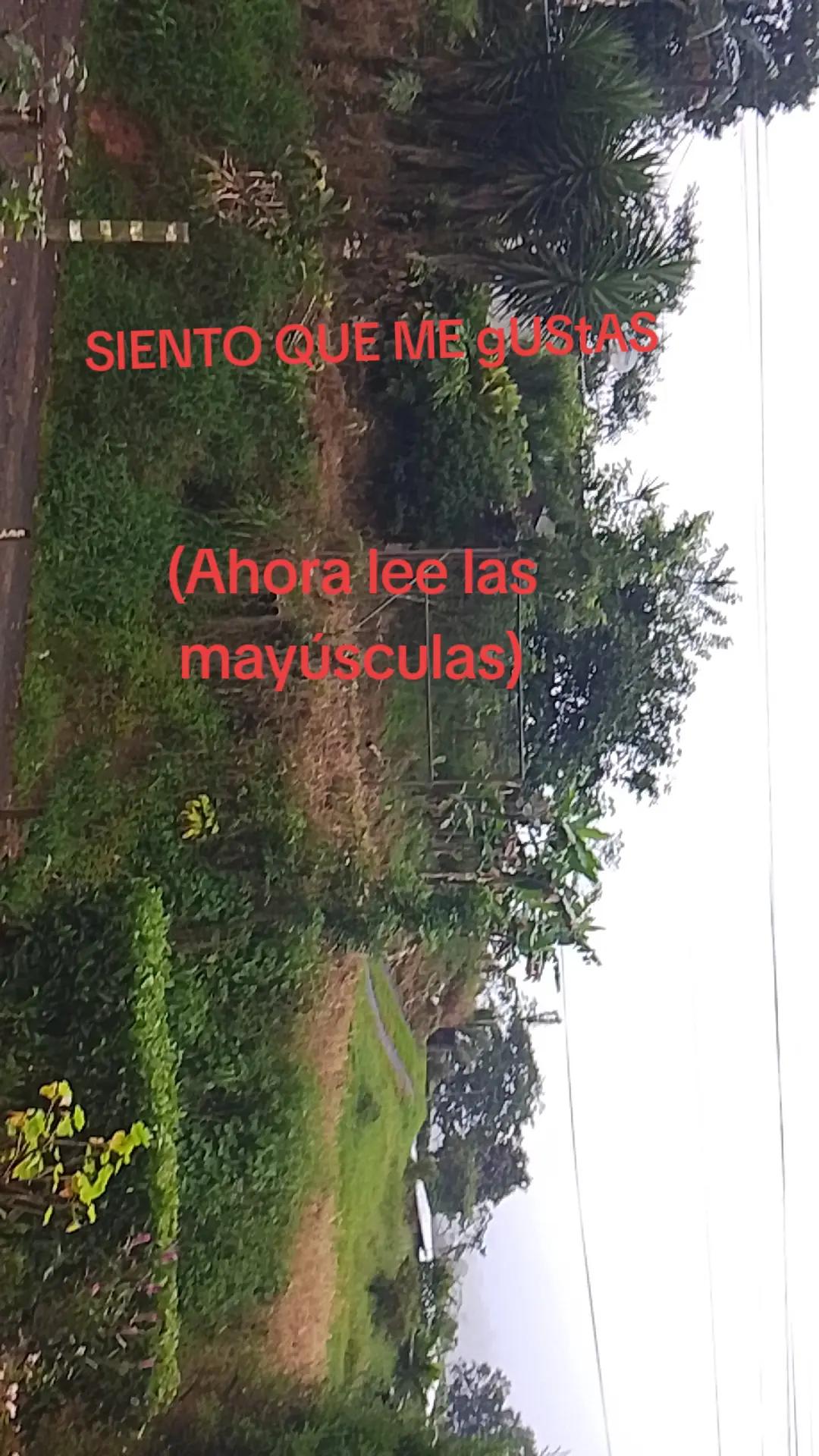 @Sami ✌️🇨🇷