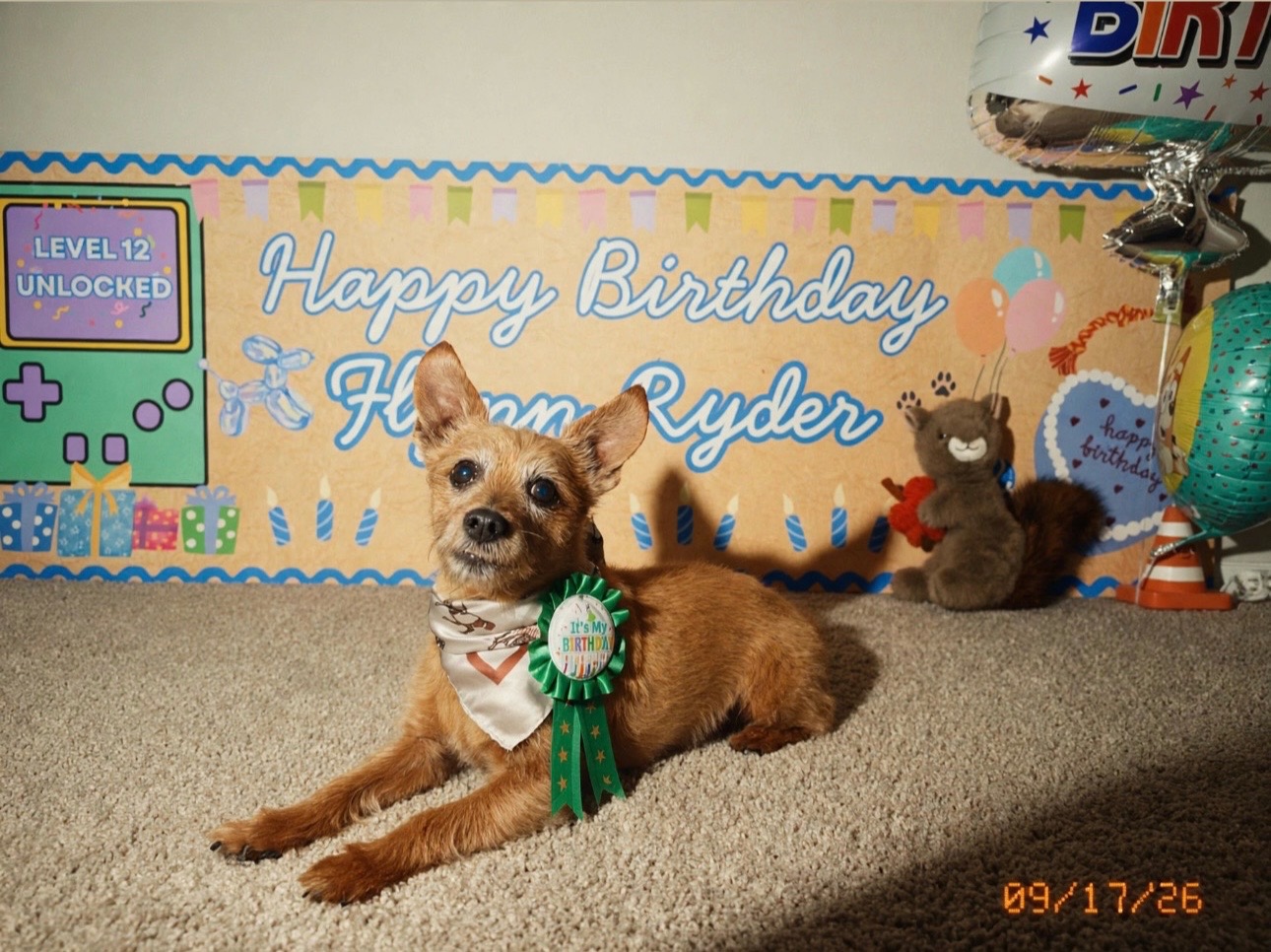 @flynn.ryder