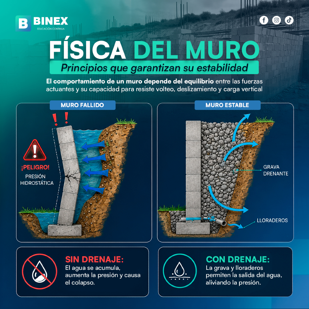 @BINEX Educación Continua