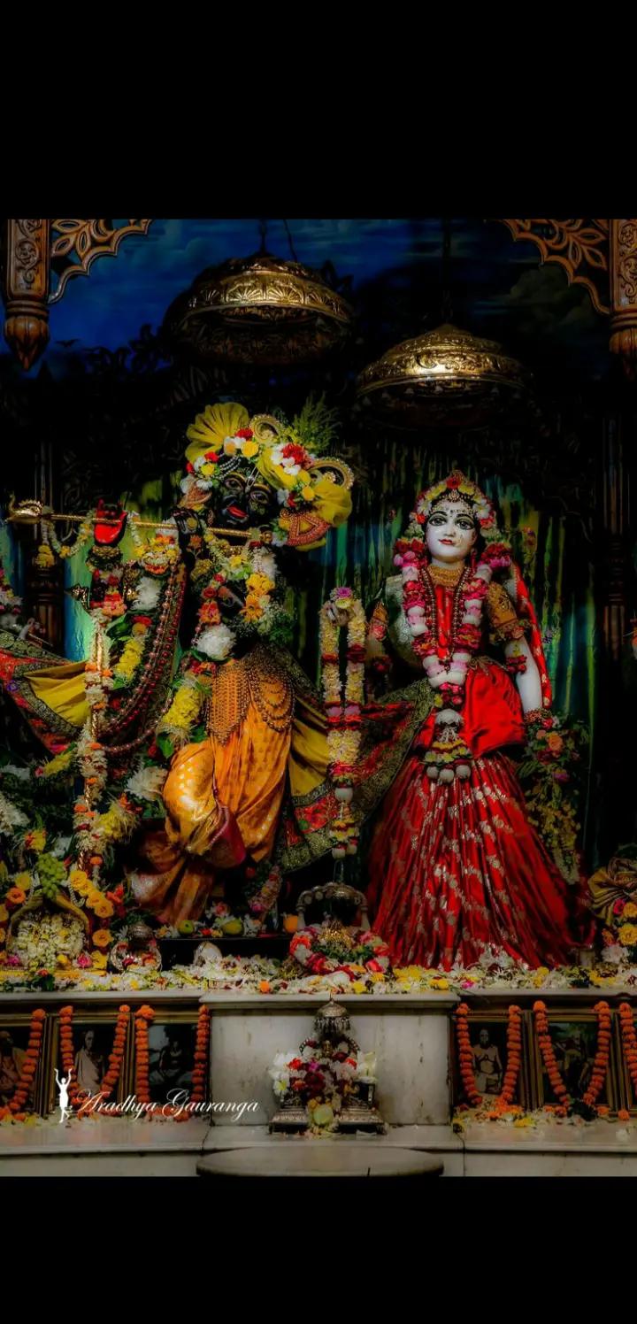 @Radhe Radhe 💐