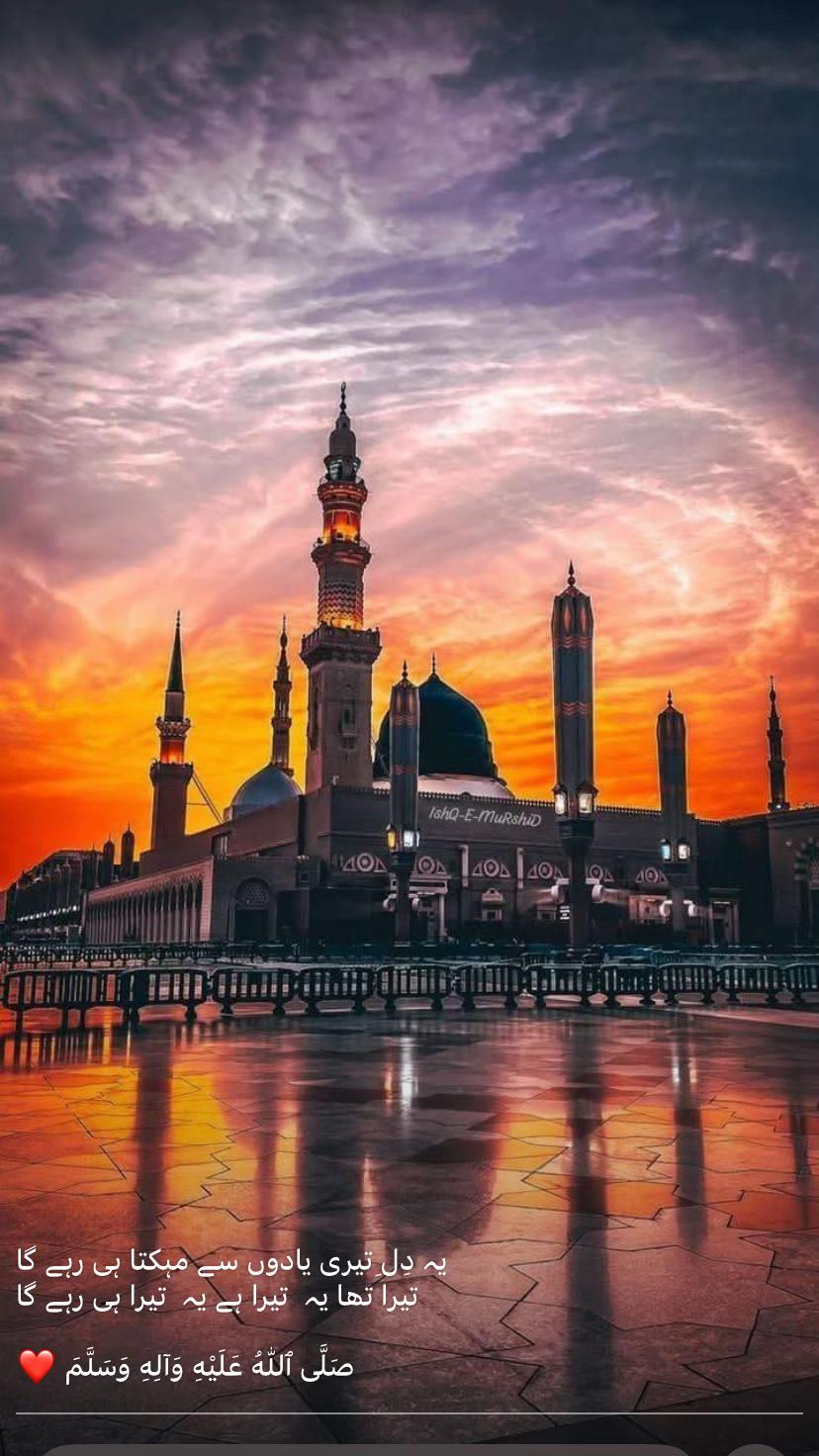 @🫥MALIK SHAHZAIB🗽
