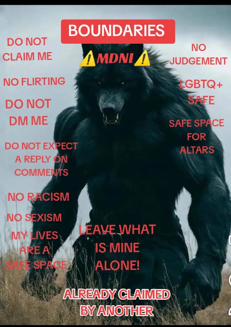 @CS: BlackWolf