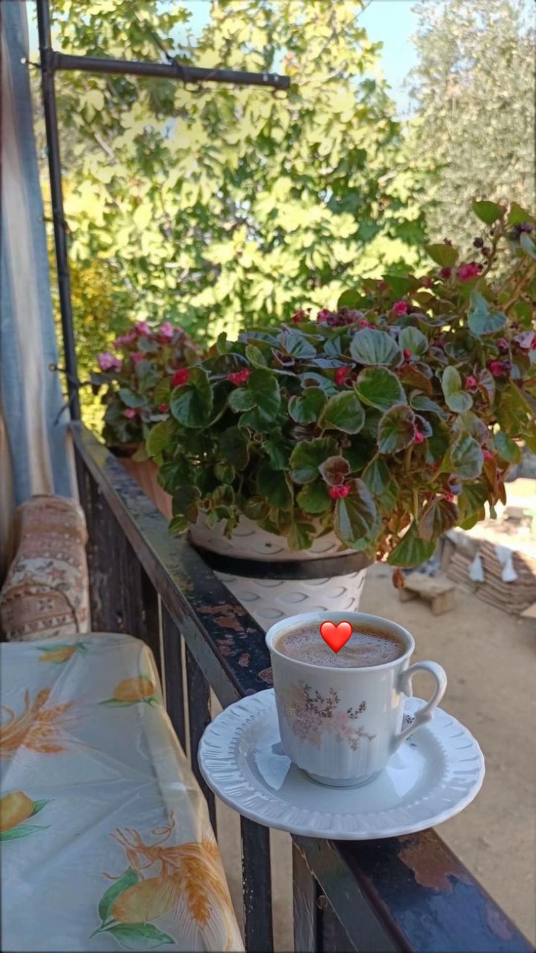 @Bano heidari🇪🇸💛🤍💙