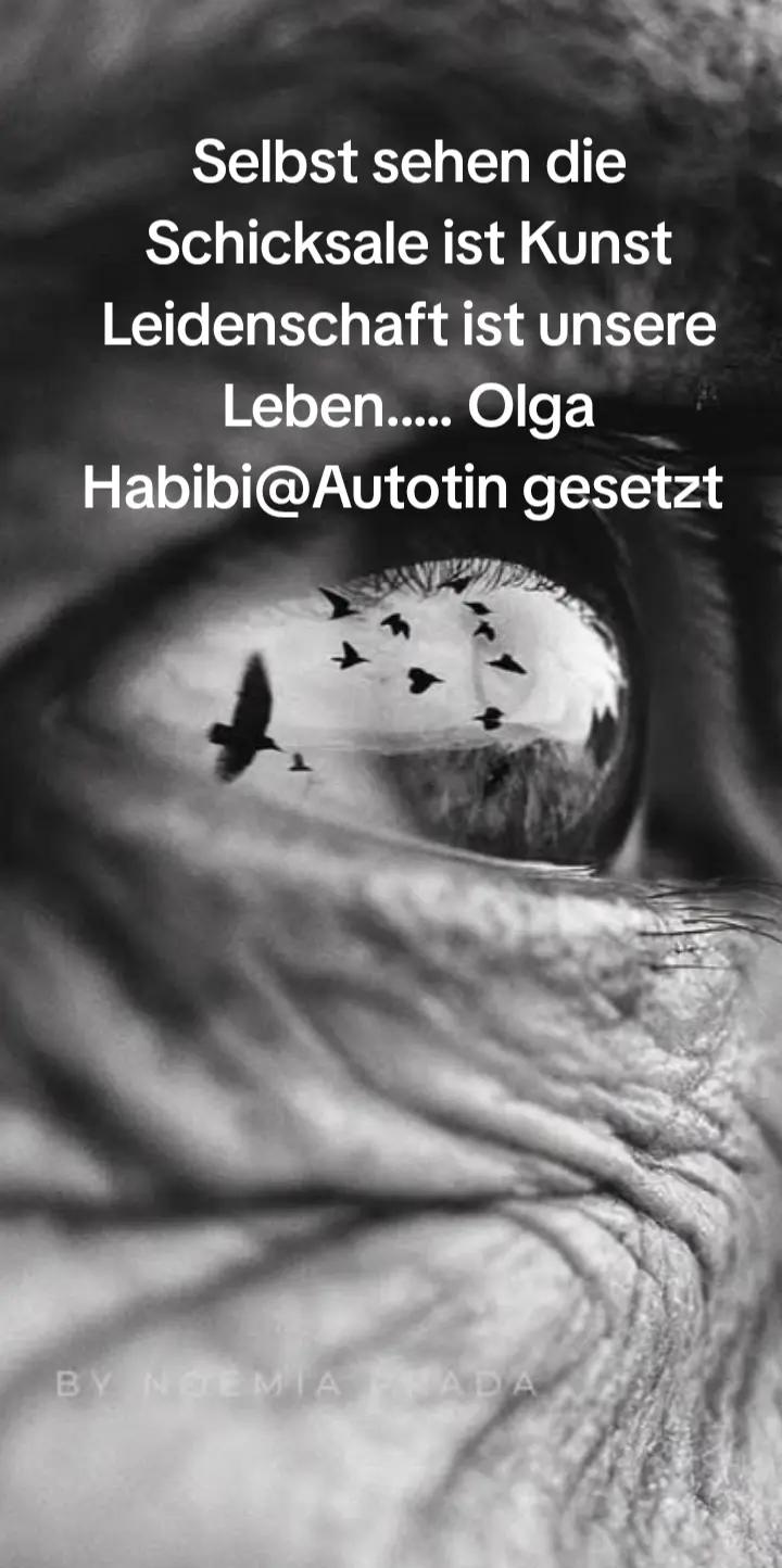 @Olga Habibi