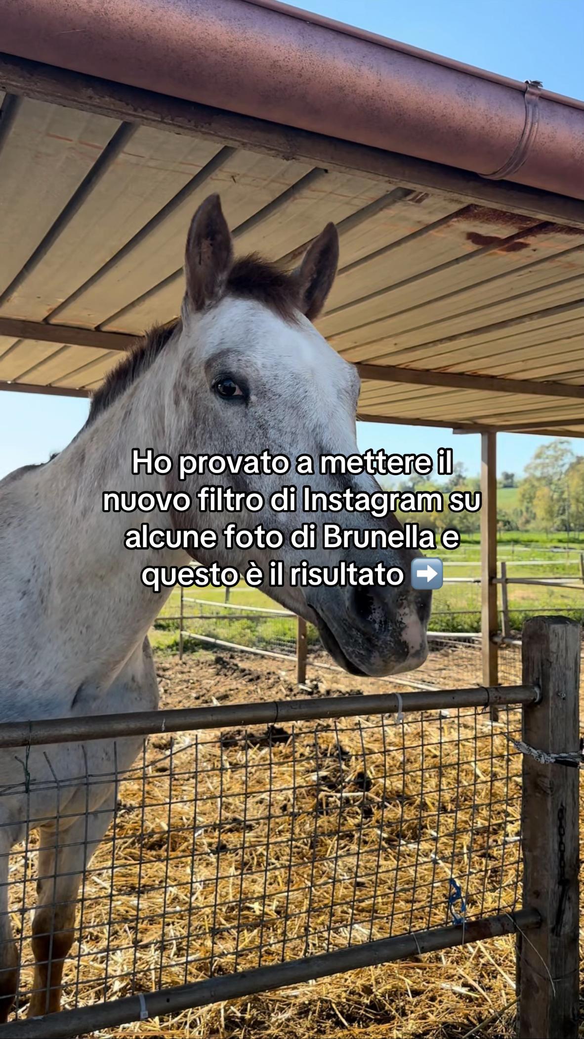 @Giulia Parroni