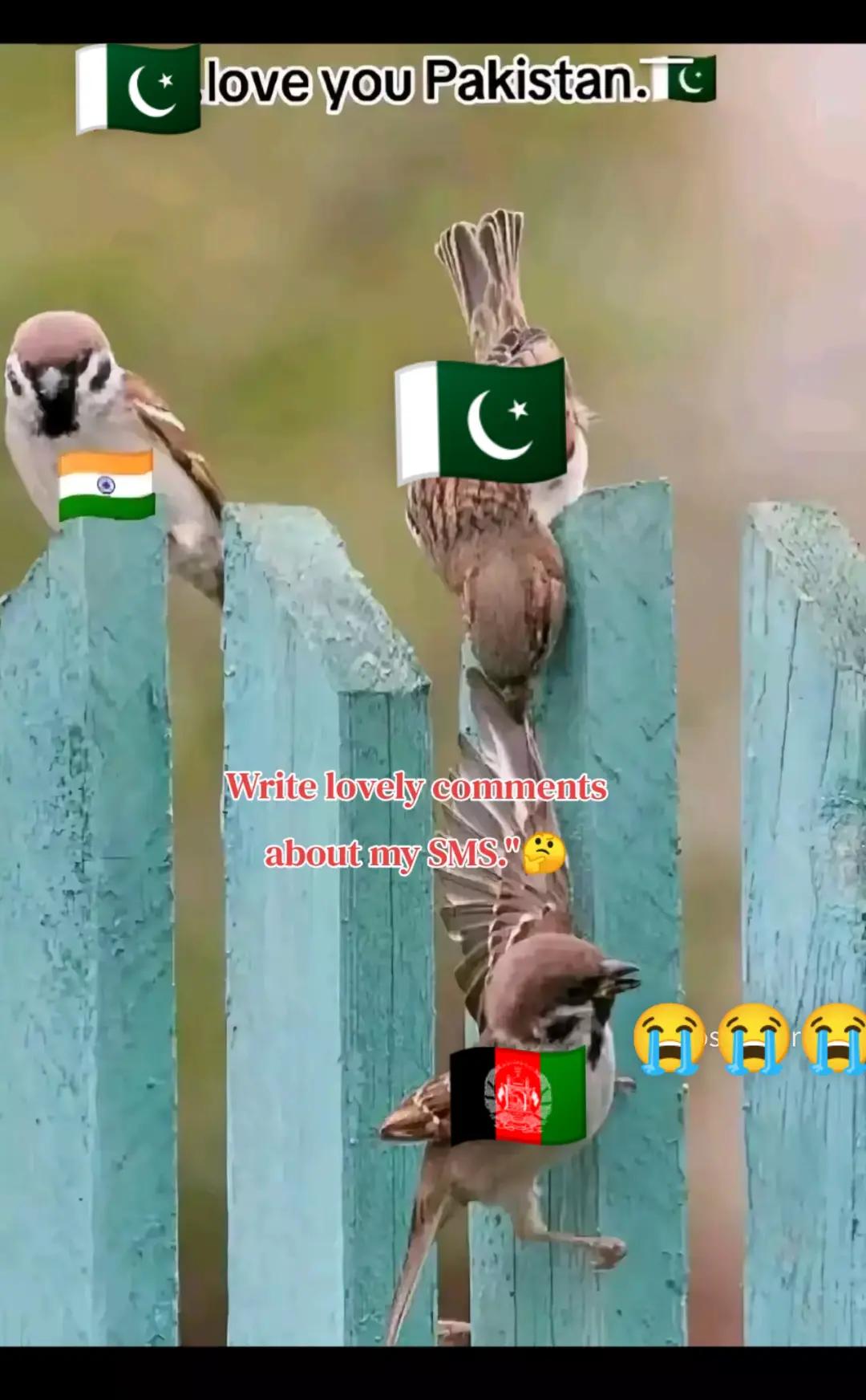 @junaid khan