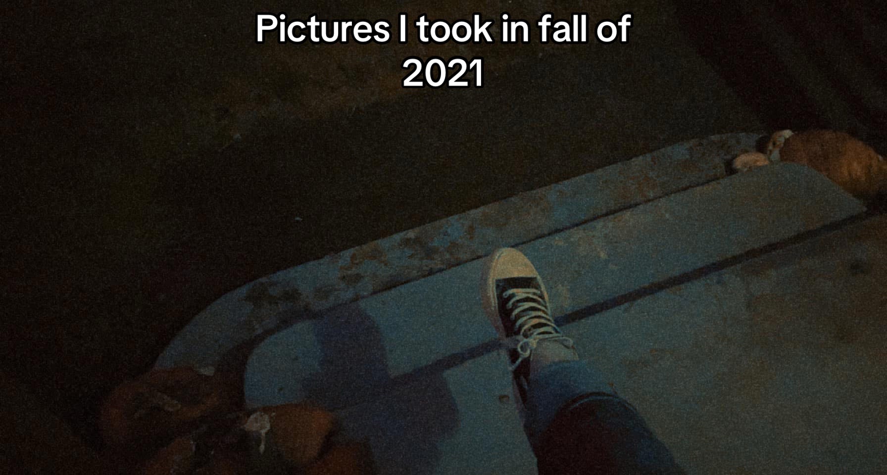 @Koal 🦓♿️ (🇵🇸)