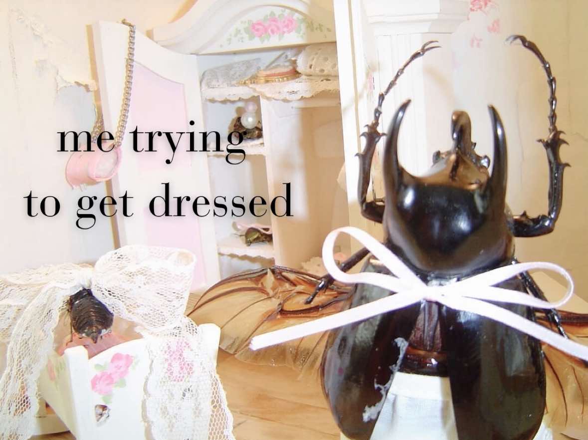 @bugs.and.bows