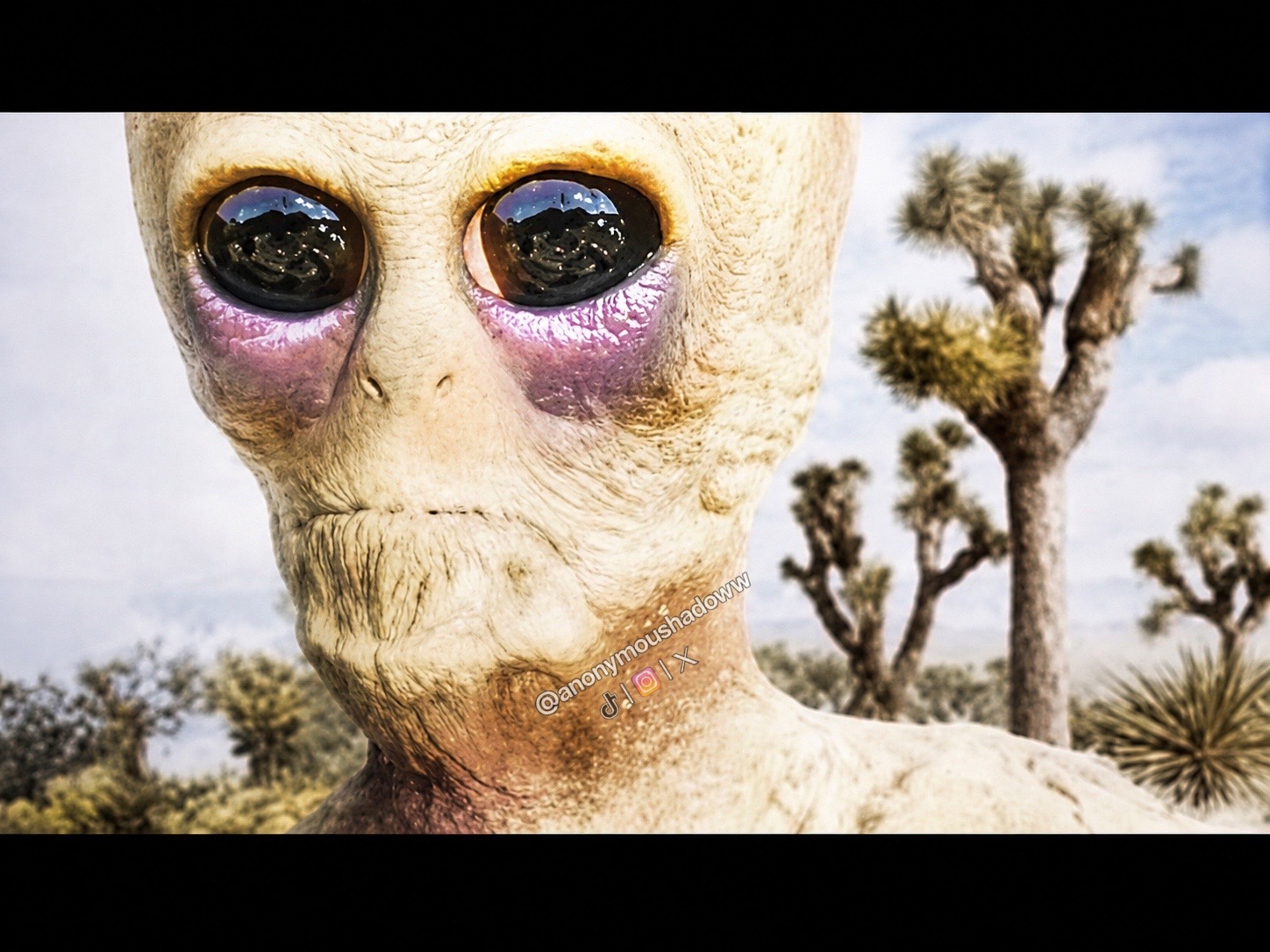 @UFO Research