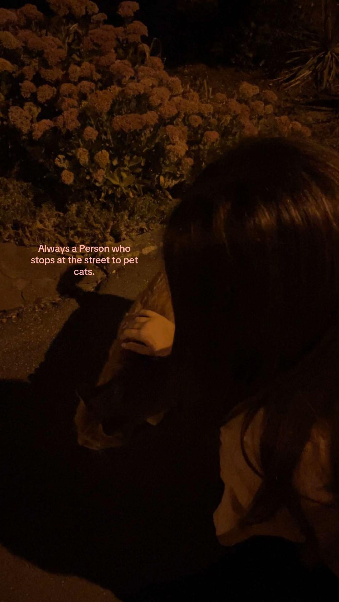 @𝐋𝐚𝐯𝐢𝐧𝐢𝐚