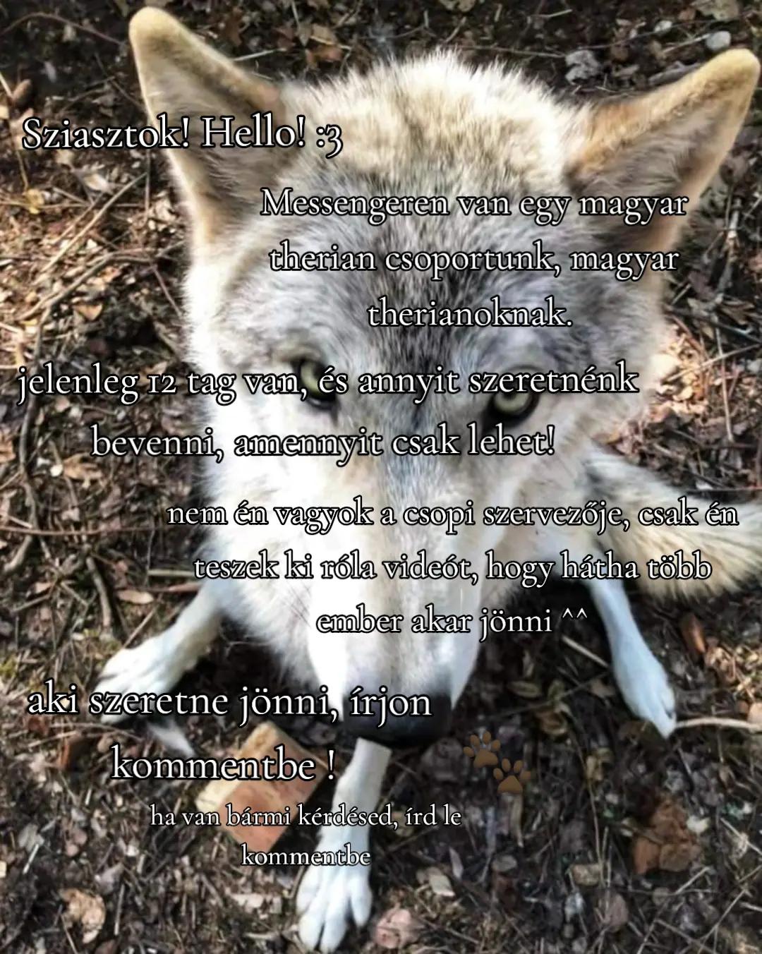 @𐂯 𝑟𝑎𝑣𝑒𝑛 | 𝑢𝑧𝑖 𐂯 ˚. ༘