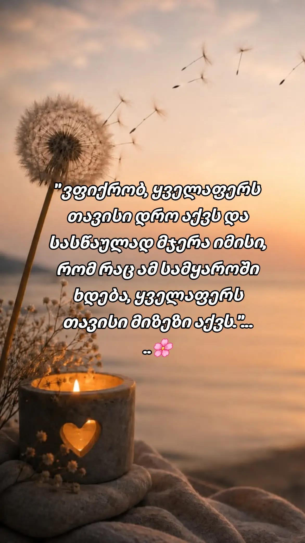 @TEKO๐ฆ๐ค