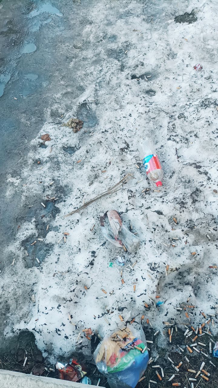 @шлепочка