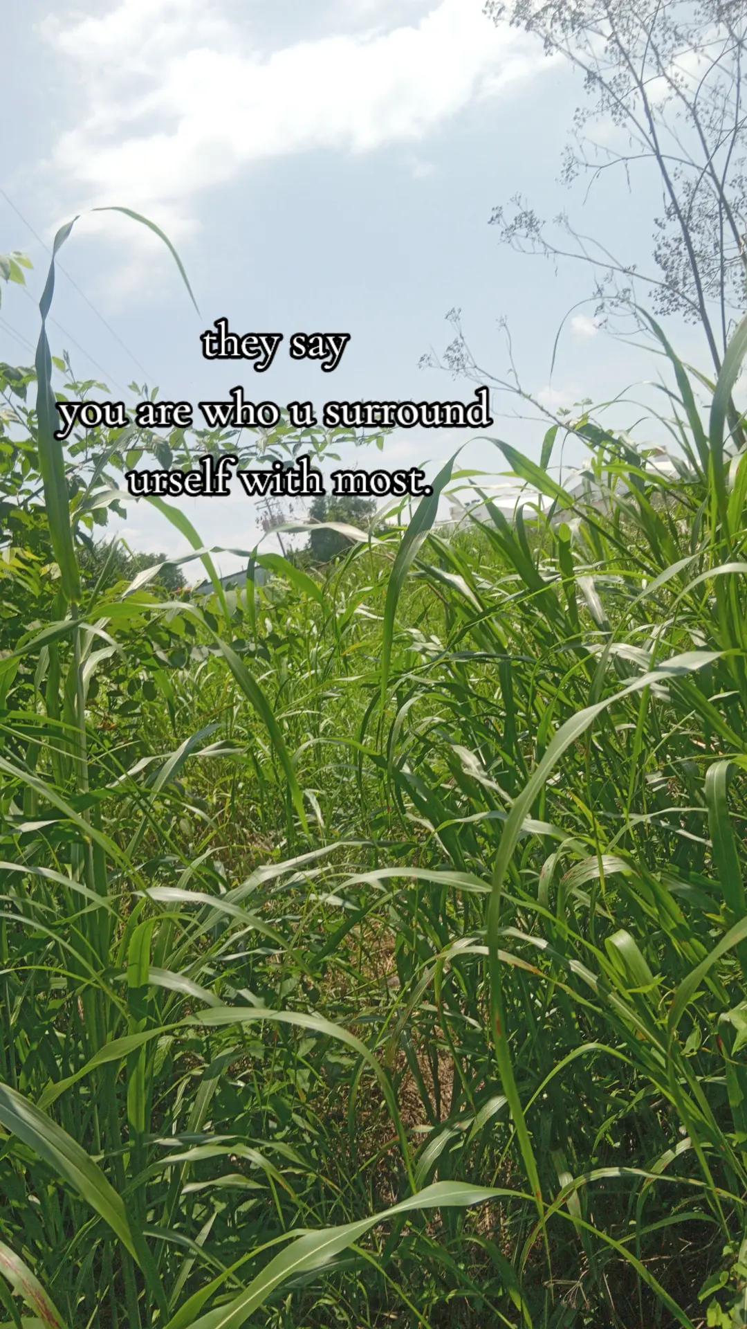 @𝓜𝓲𝓼𝓼 𝓼𝓵𝓸𝓷𝓮💋🫣
