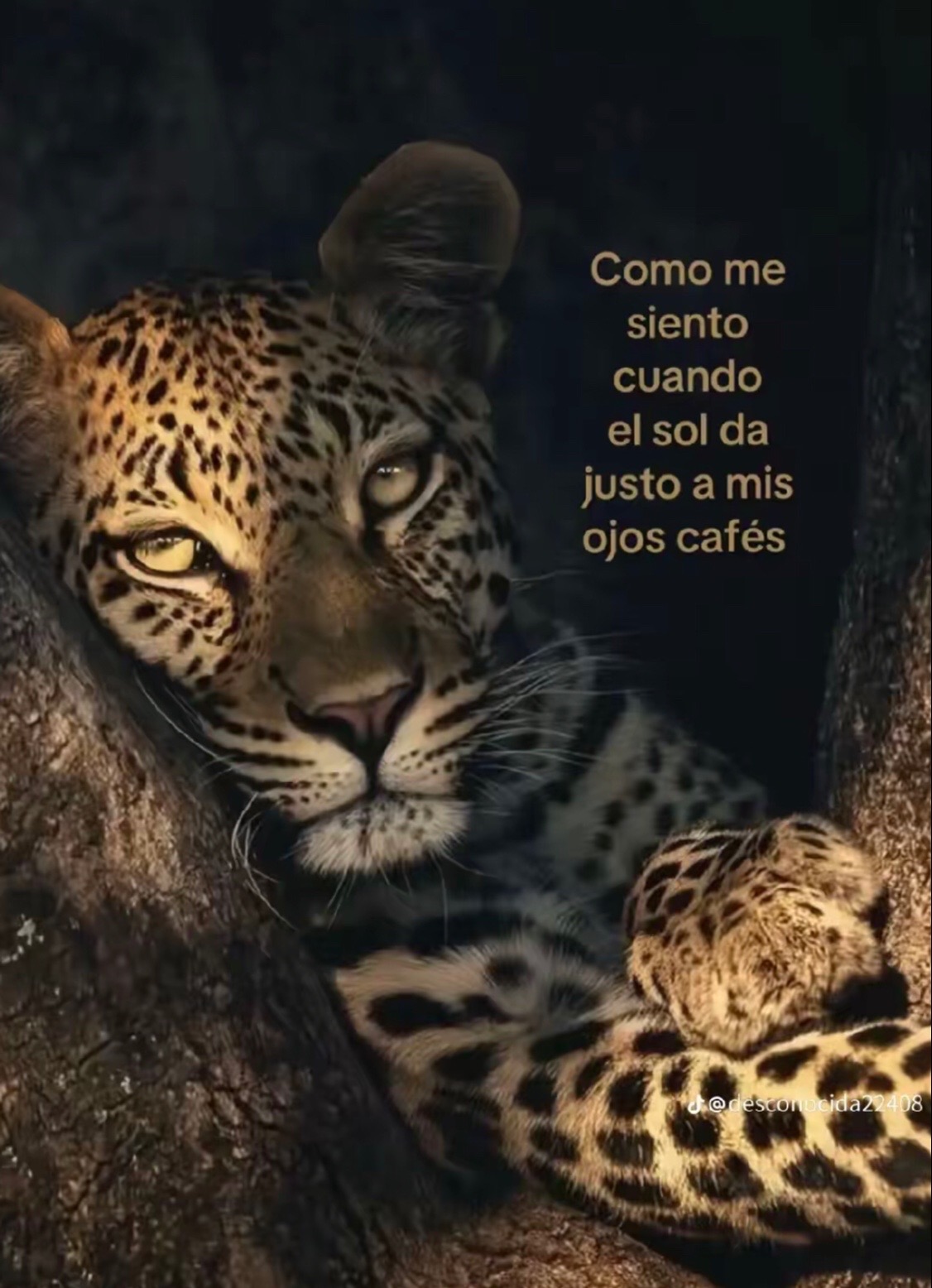 @Camila Ayelen Guaique
