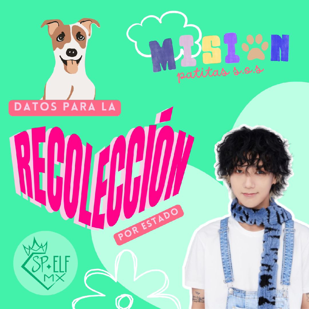@Super Proyectos ELF Mx