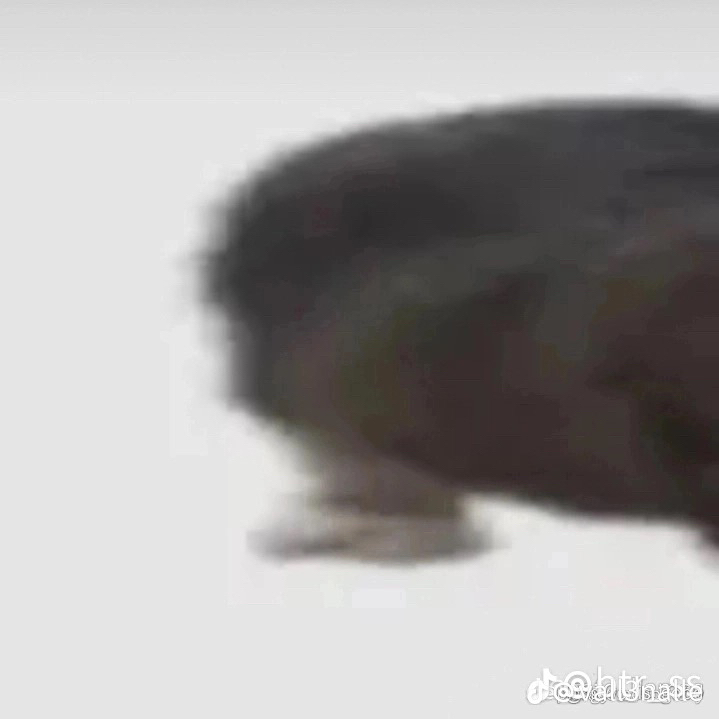 @Vox_6866