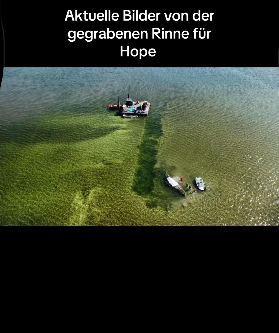 @Rettet Hope 🐋