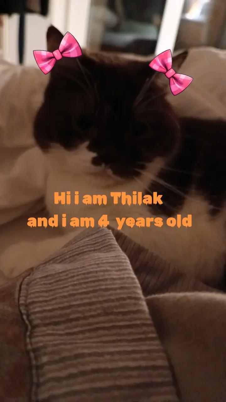 @FinnOberBoss