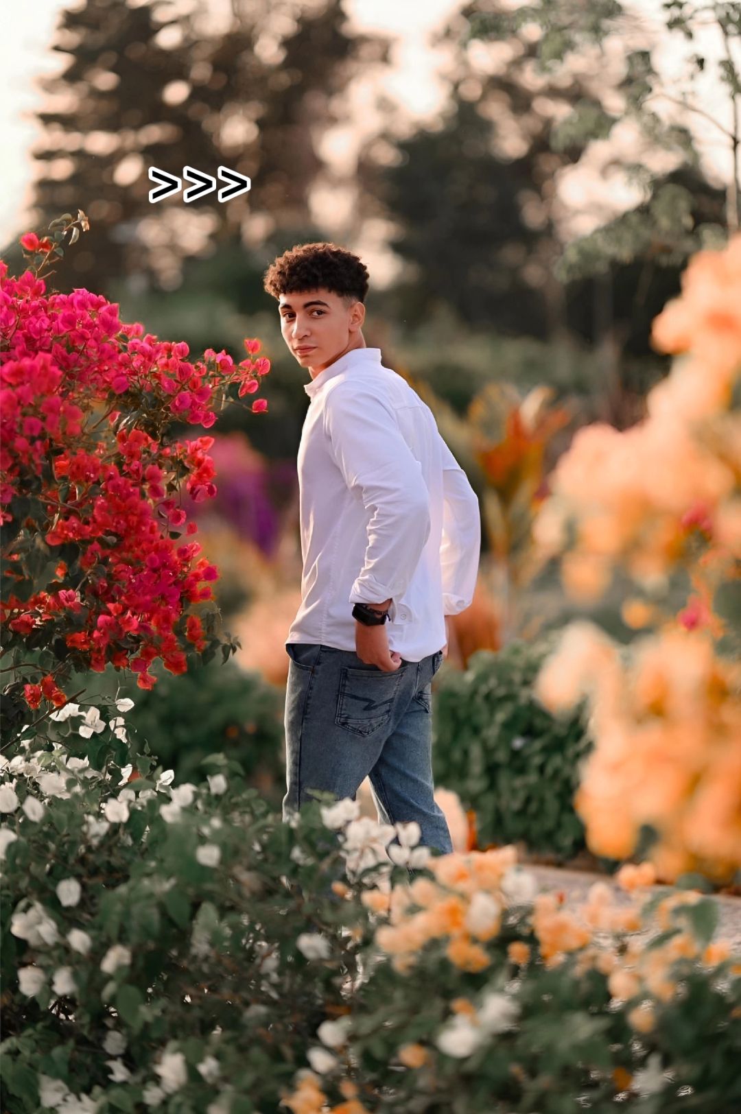 @Bahgat Photography