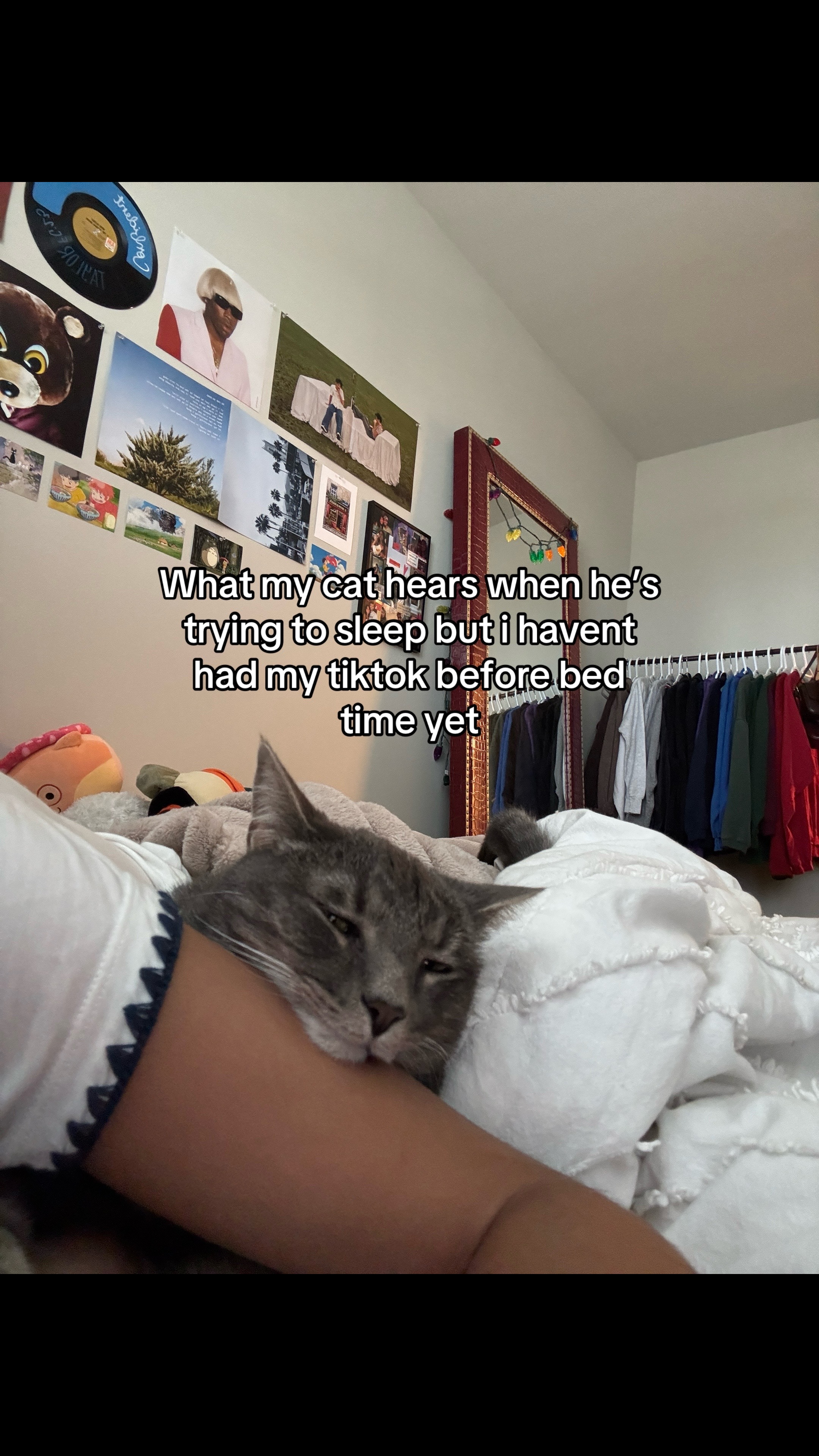 @taylor