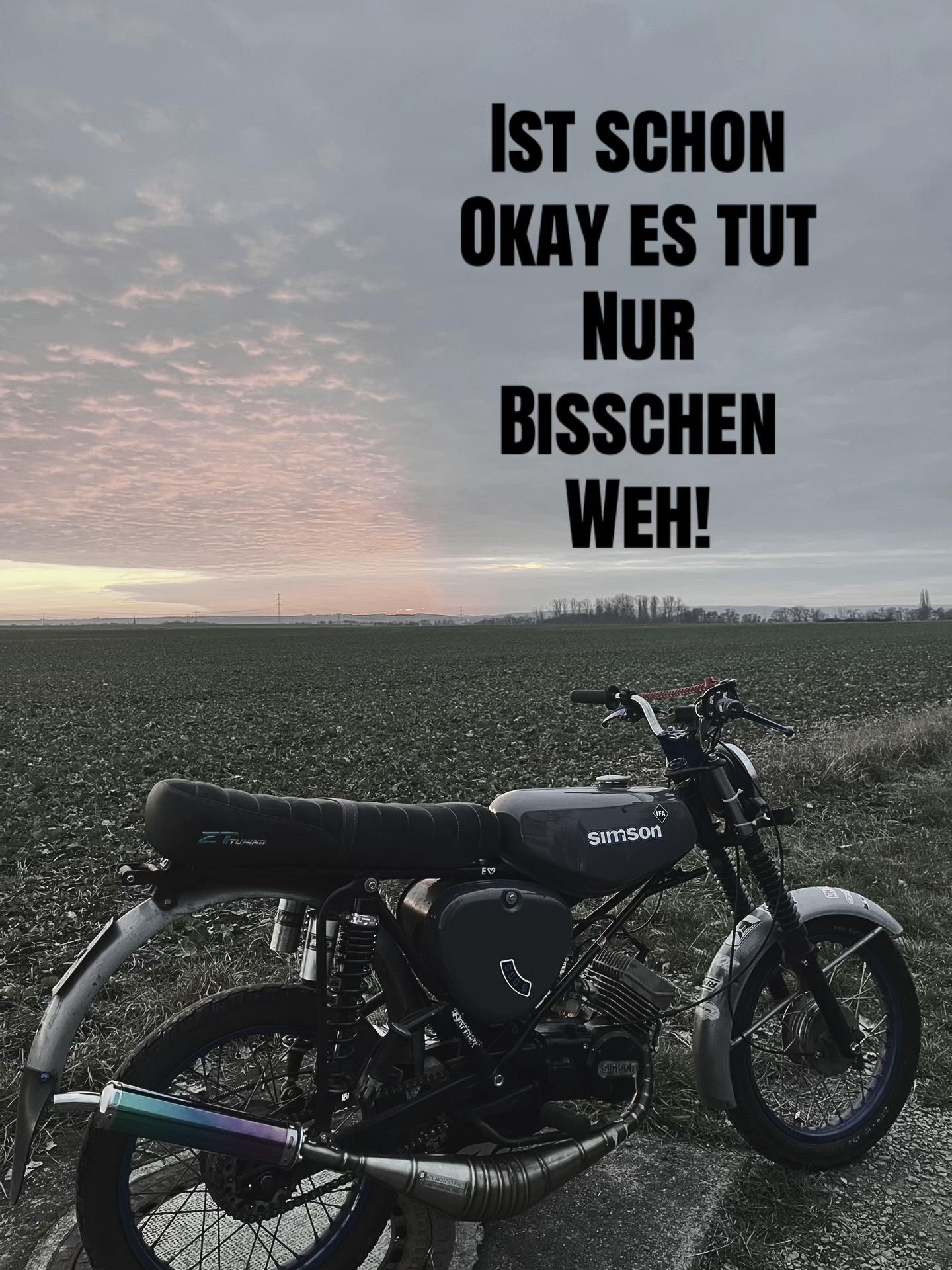 @Klemmer_Schrödii