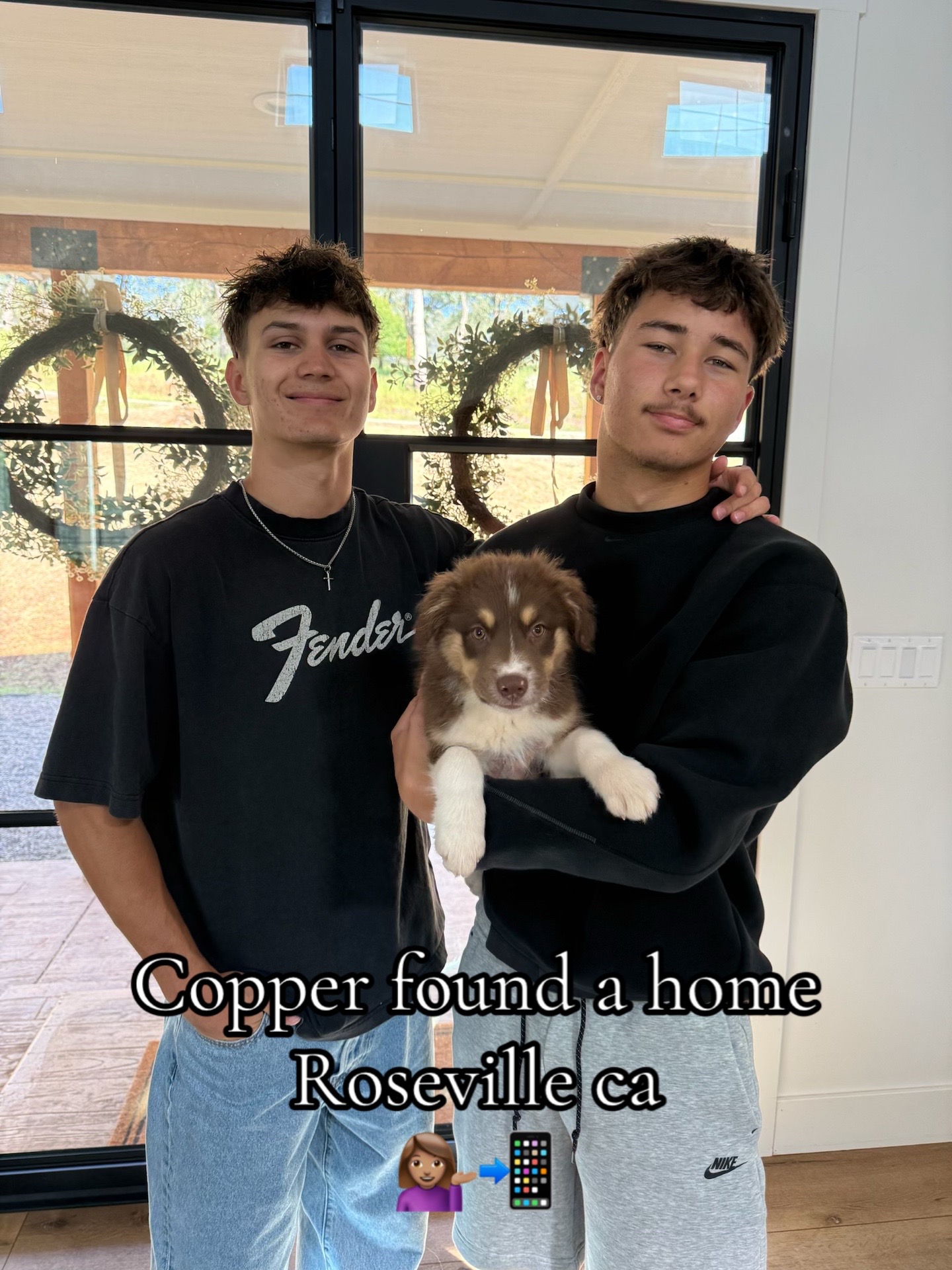 @sacramento__aussies916