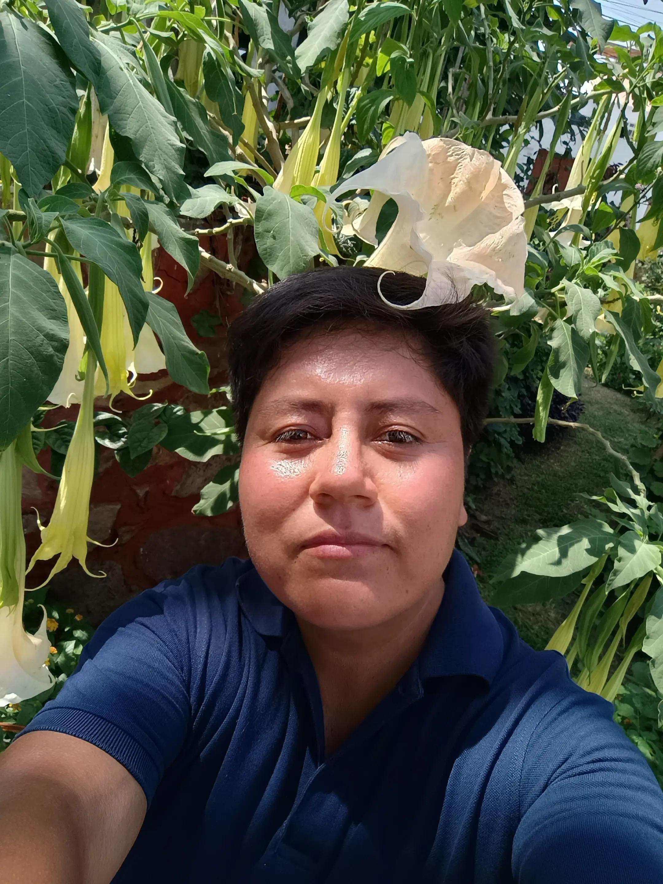@Violeta Dcr