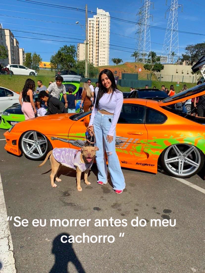 @Andressa Dias