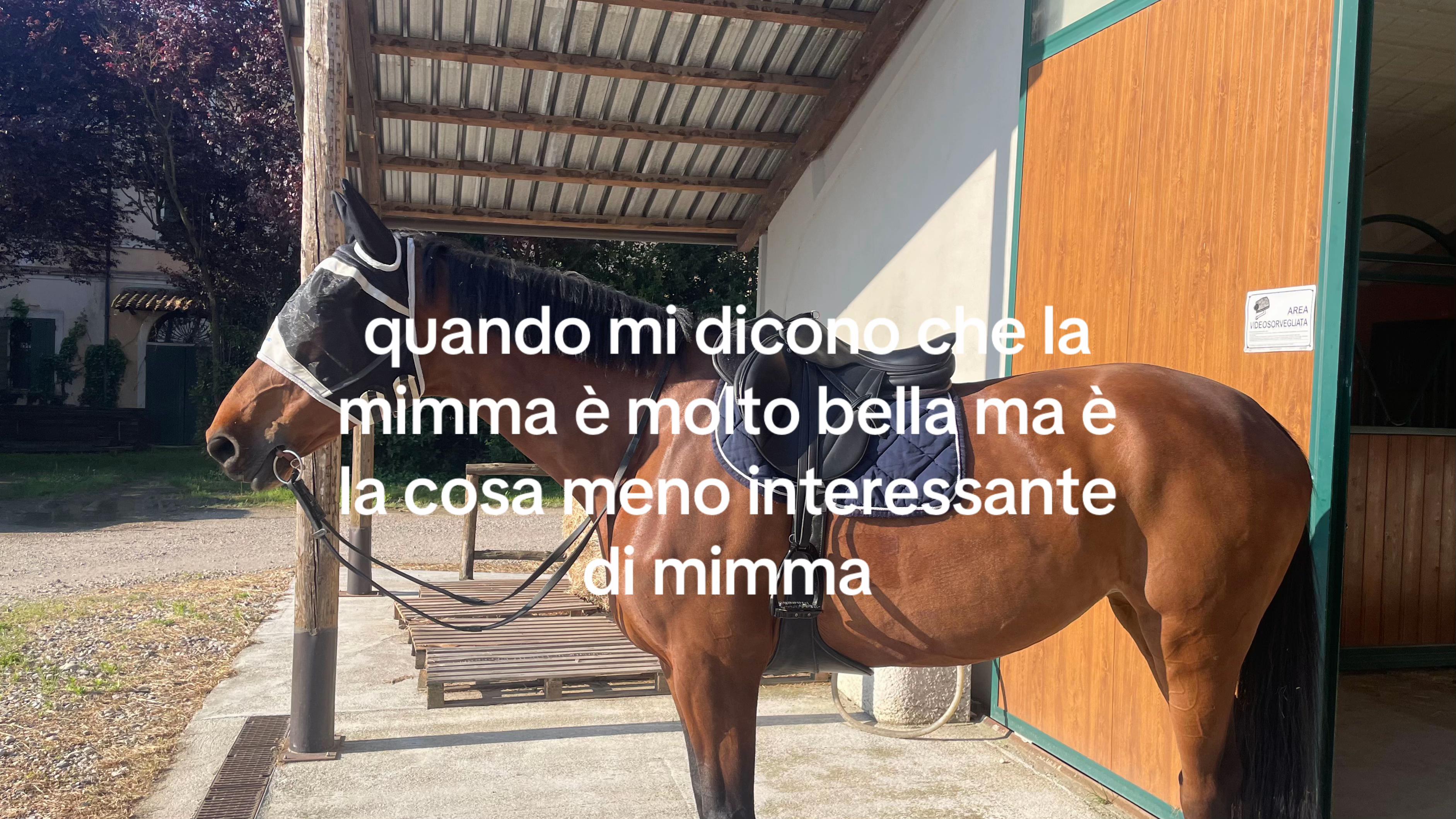 @angy