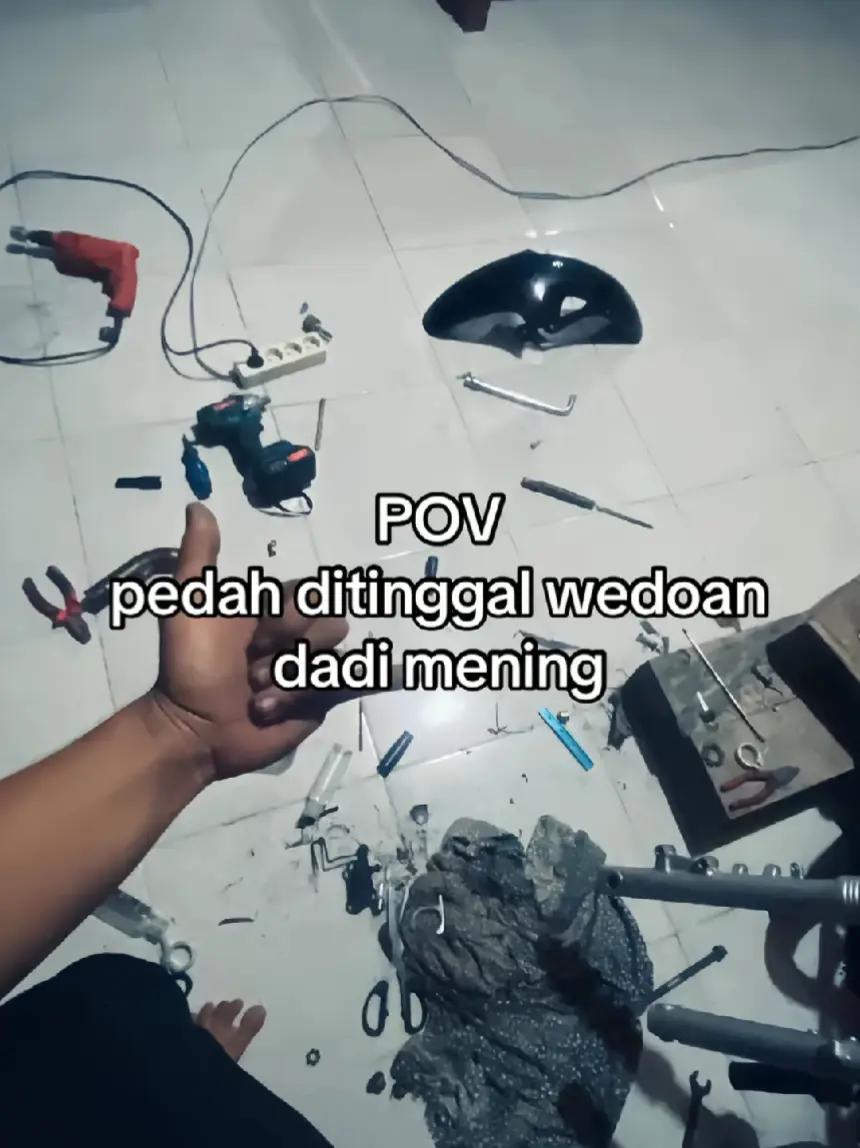 @Pidan⚡