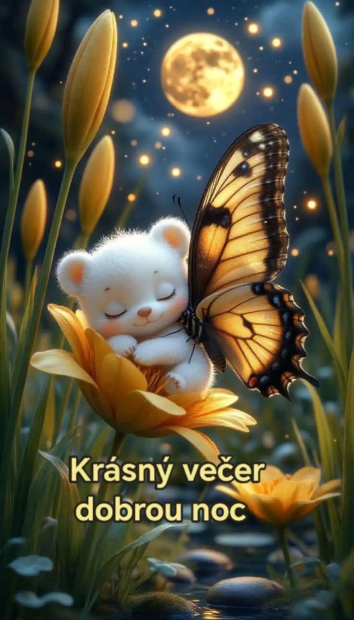 @Iveta.b.🩷🇨🇿