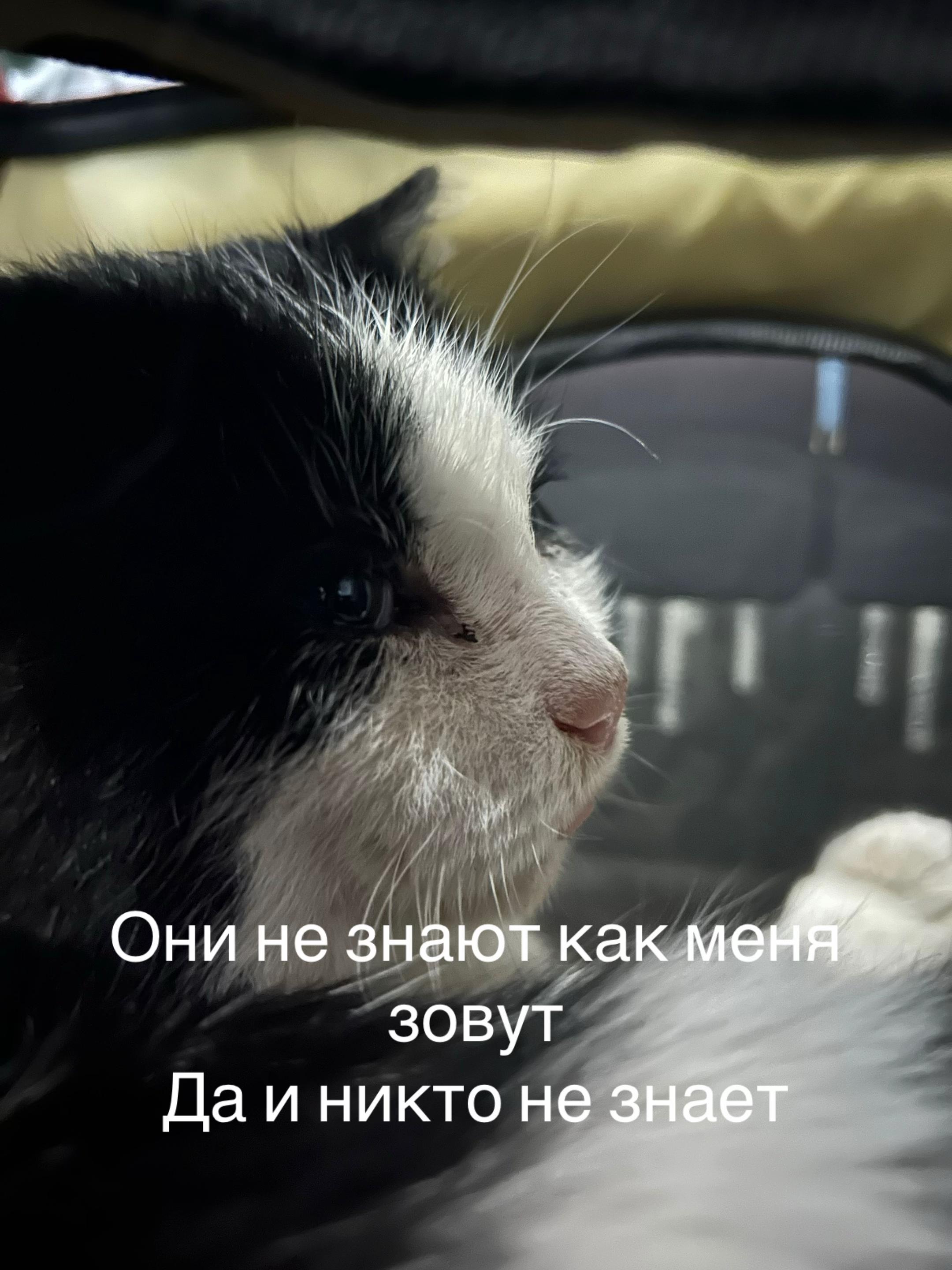 @akopat