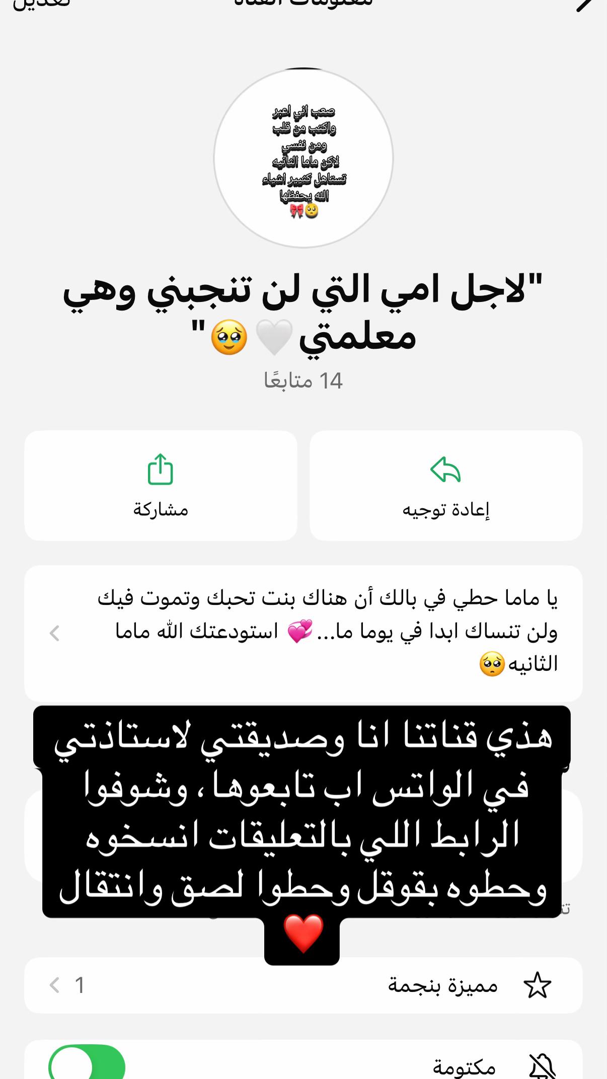@🤍for my best teacher”saronh🤍