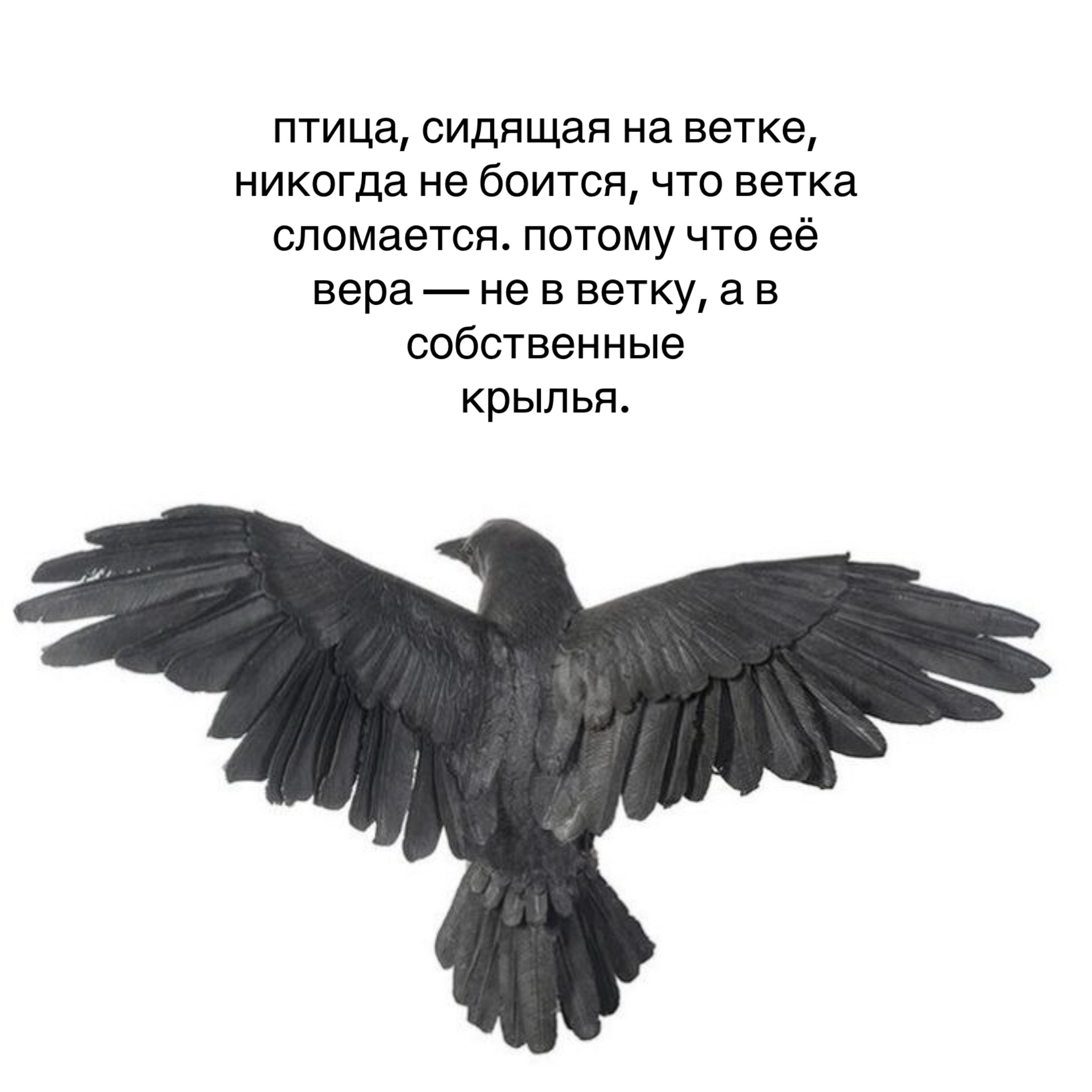 @𝗉𝖺𝗋𝖺𝗇𝗈𝗂𝖽 𝗌𝗁𝖺𝗆𝖾