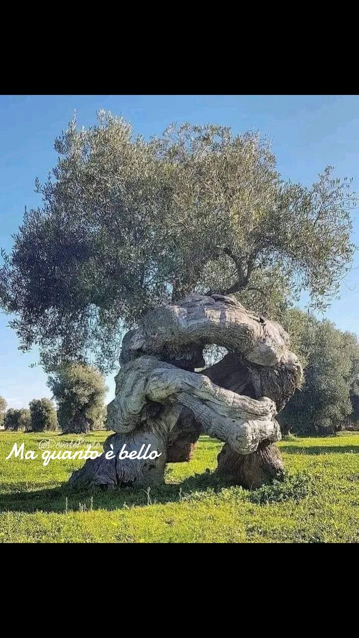 @Nuvole