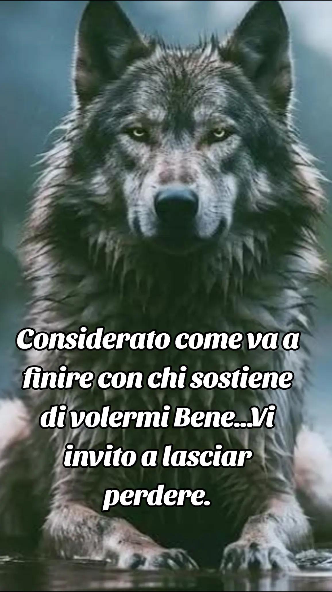 @🐺🗽Crazy Wolf.