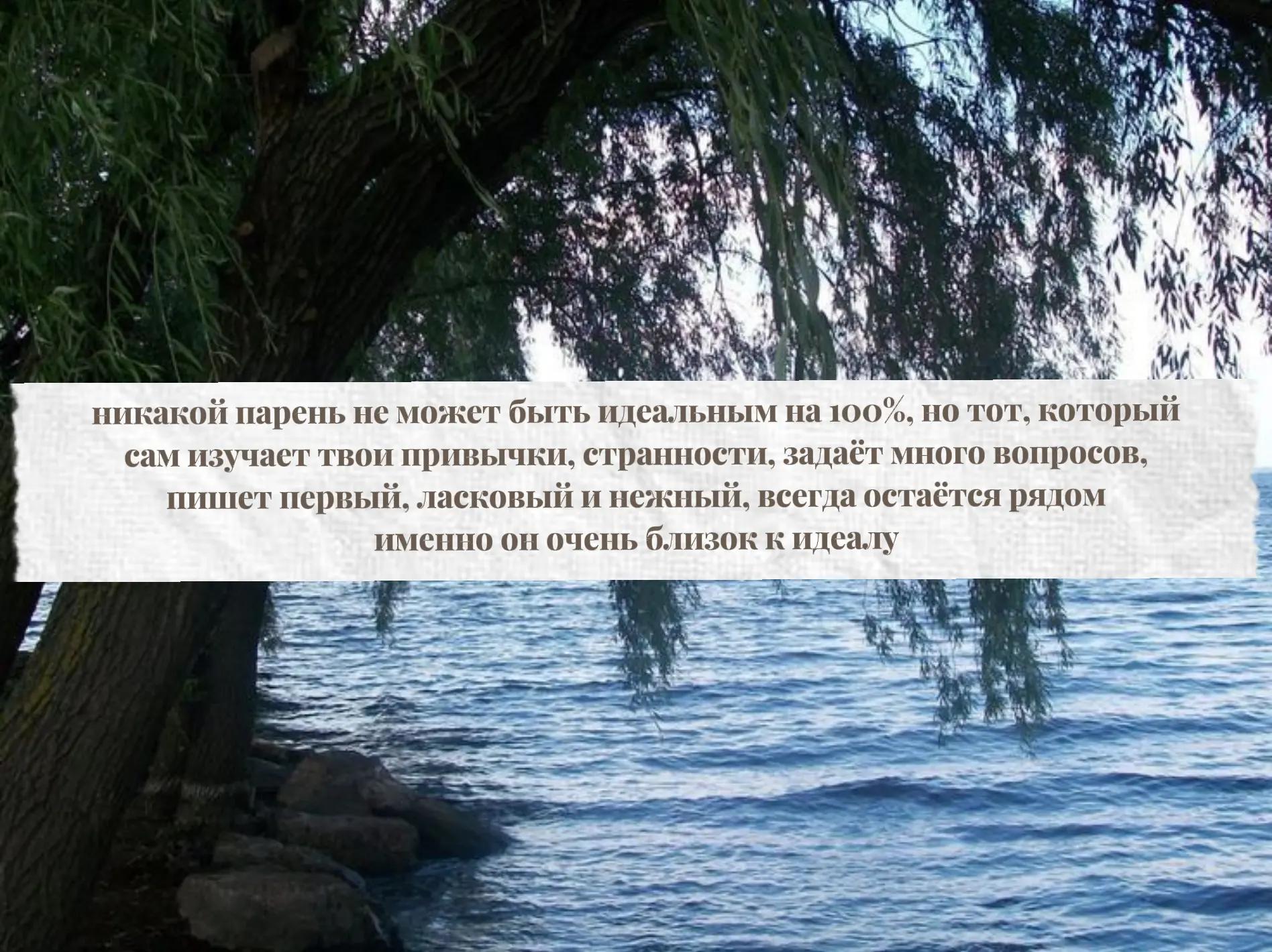 @лупикал