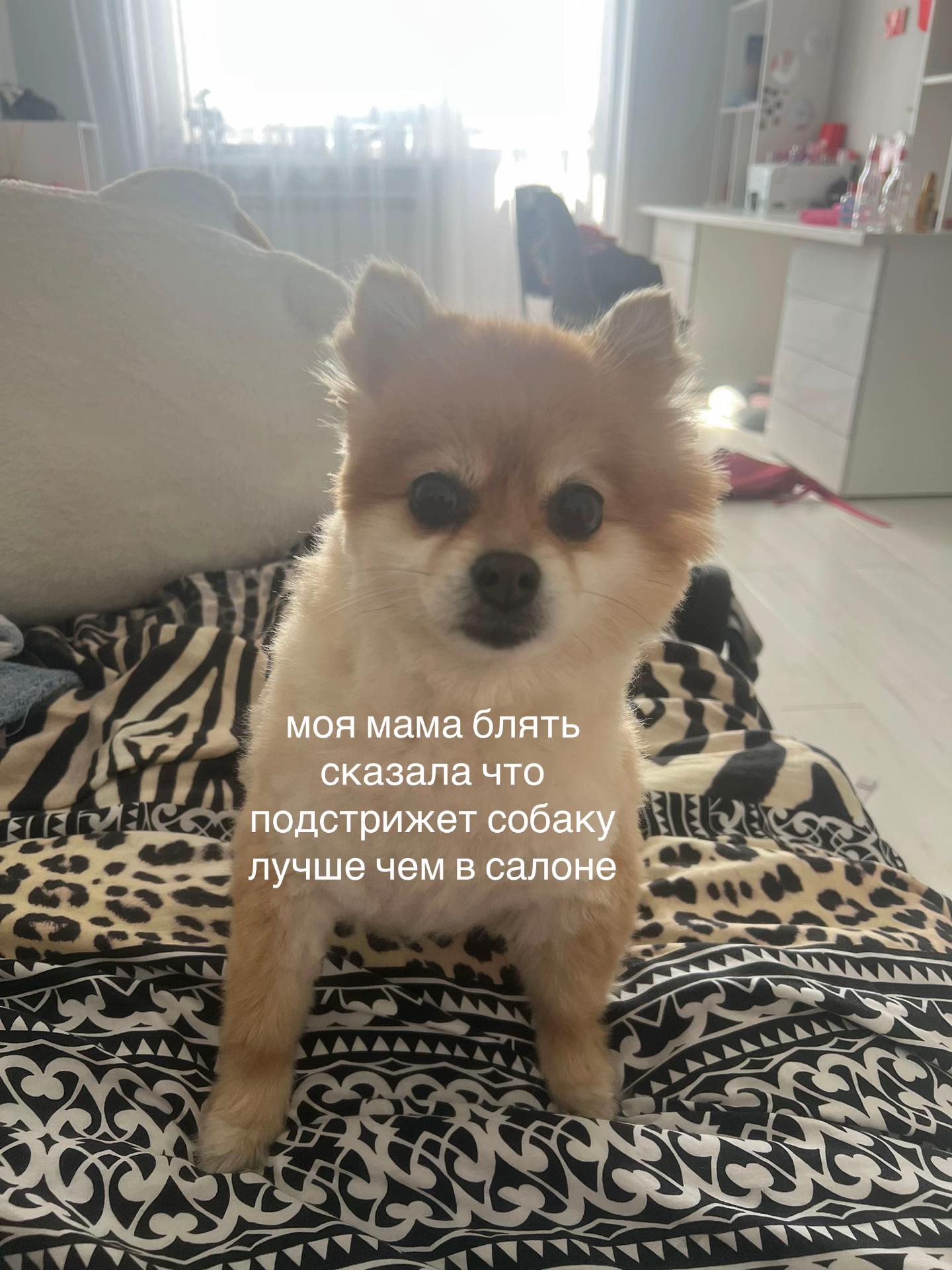 @вера фантовна