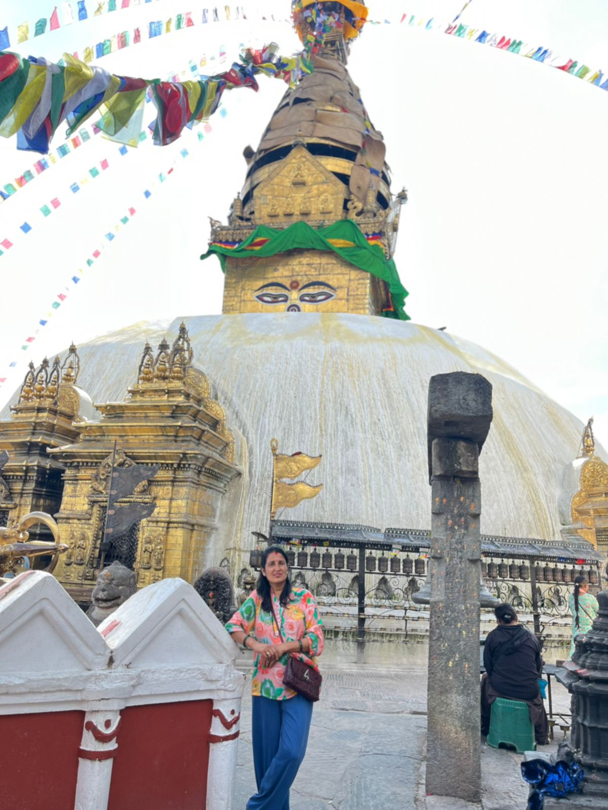@mina adhikari