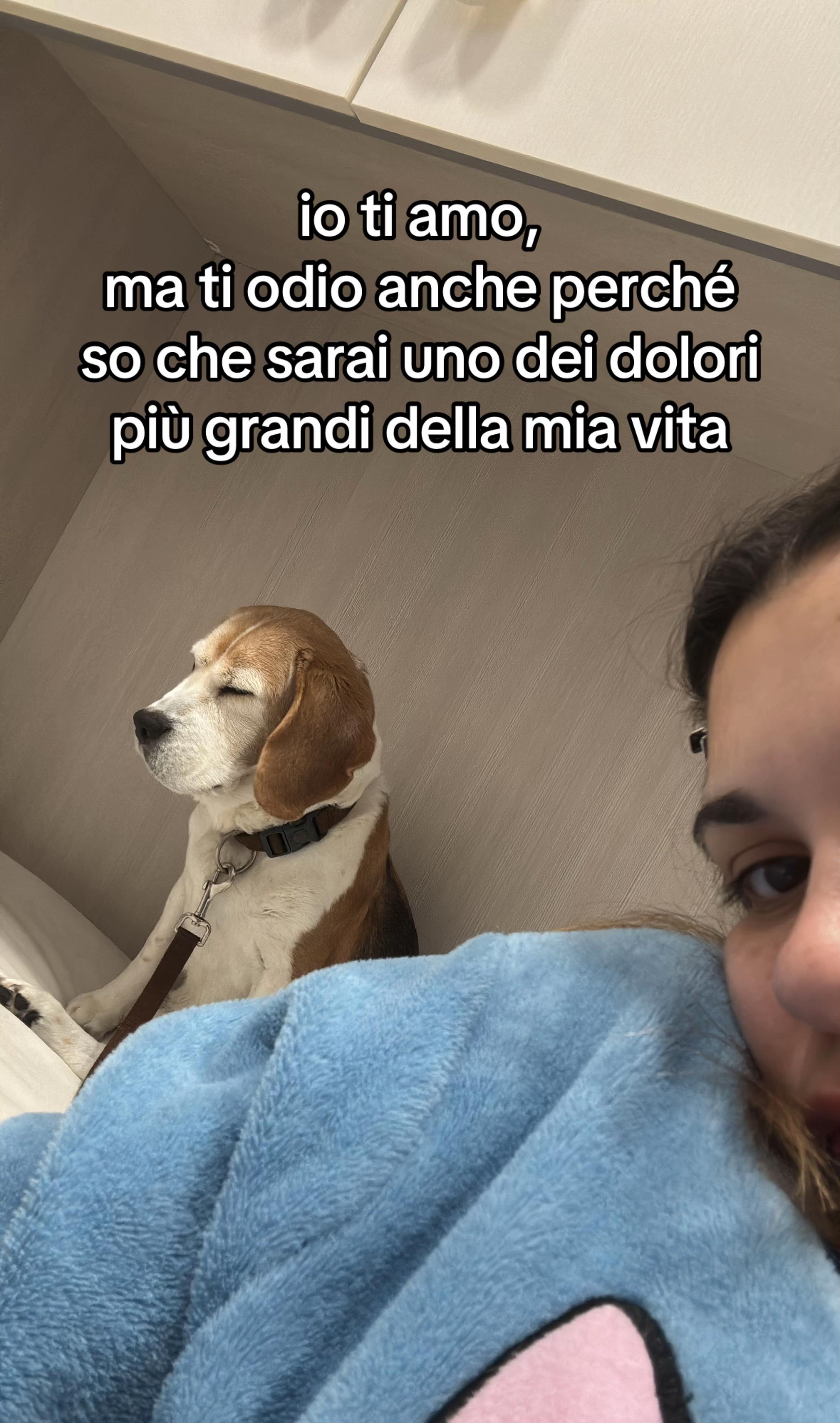 @kekka