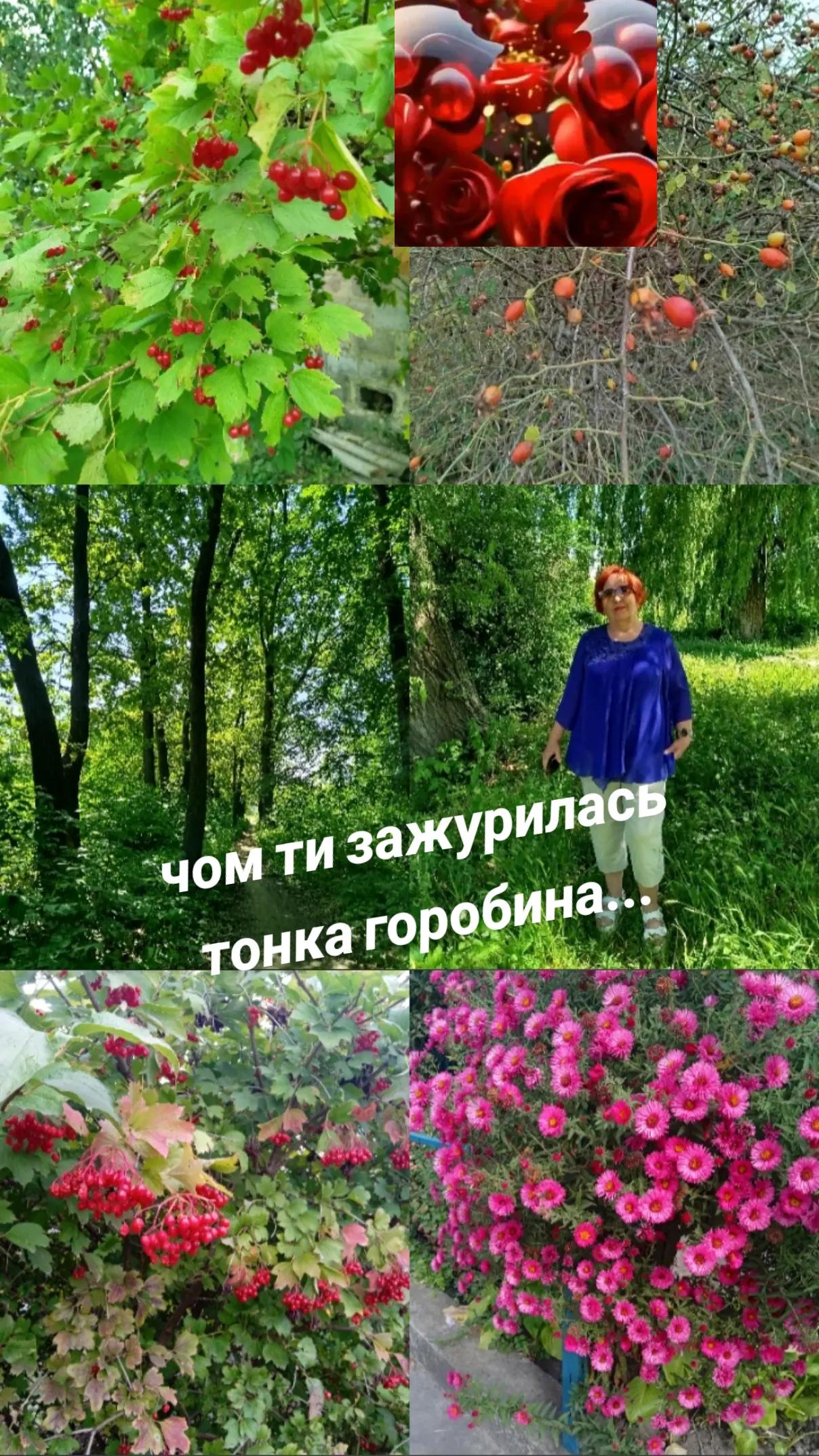 @NinaPianyk