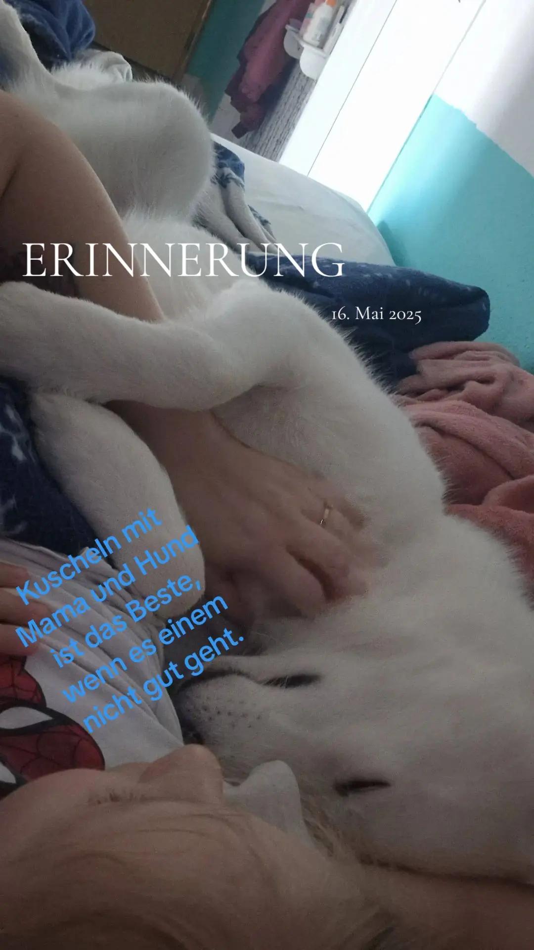 @alleinerziehendemama