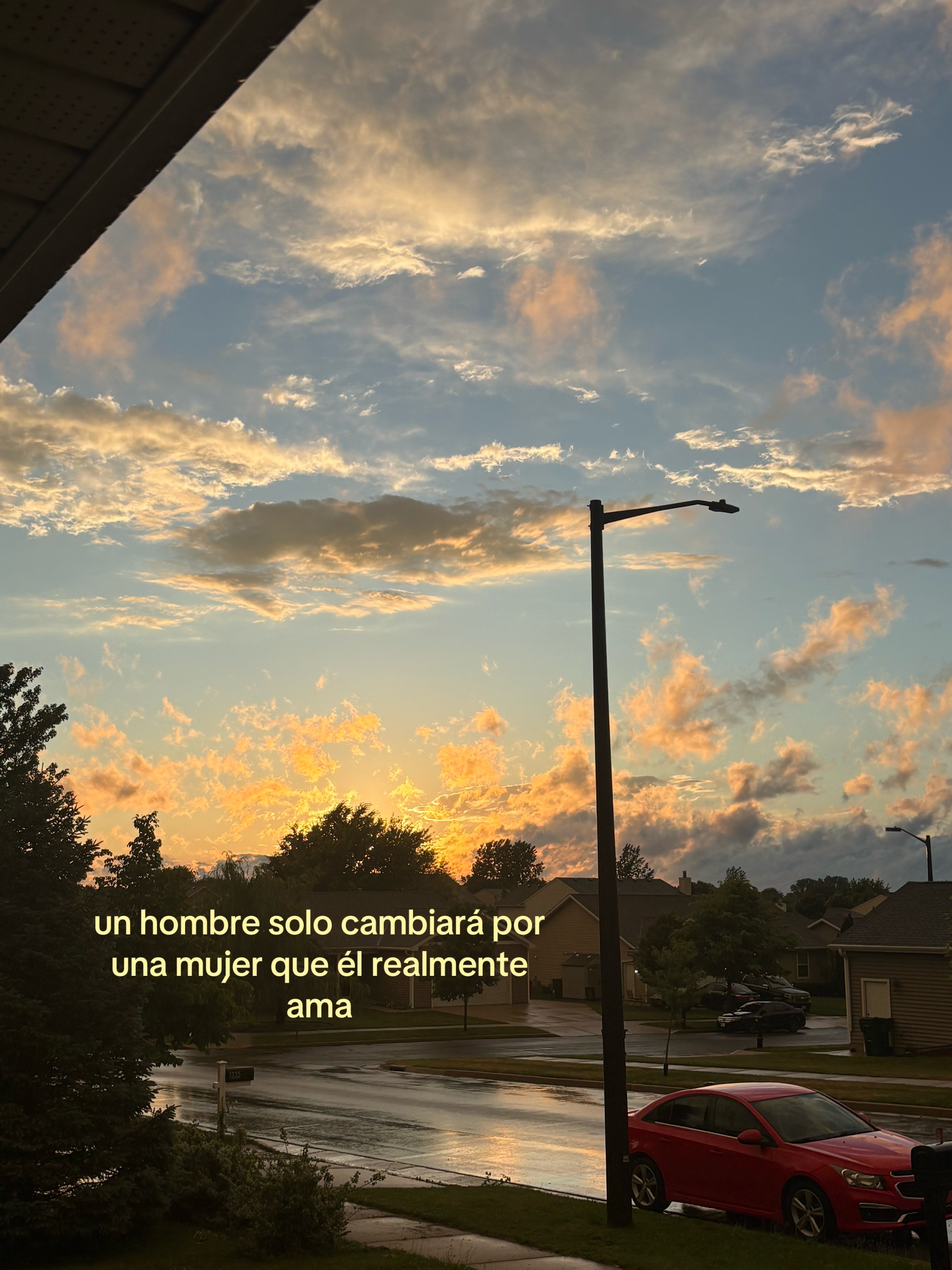 @🦭