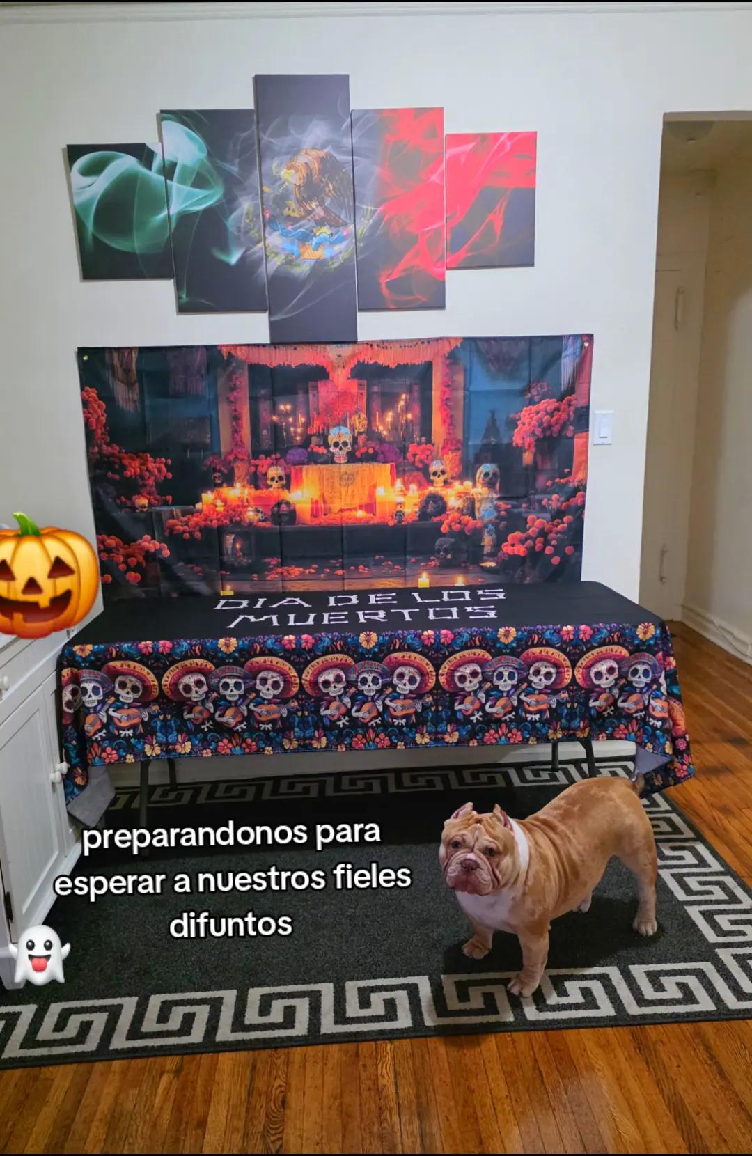 @carlos quintero