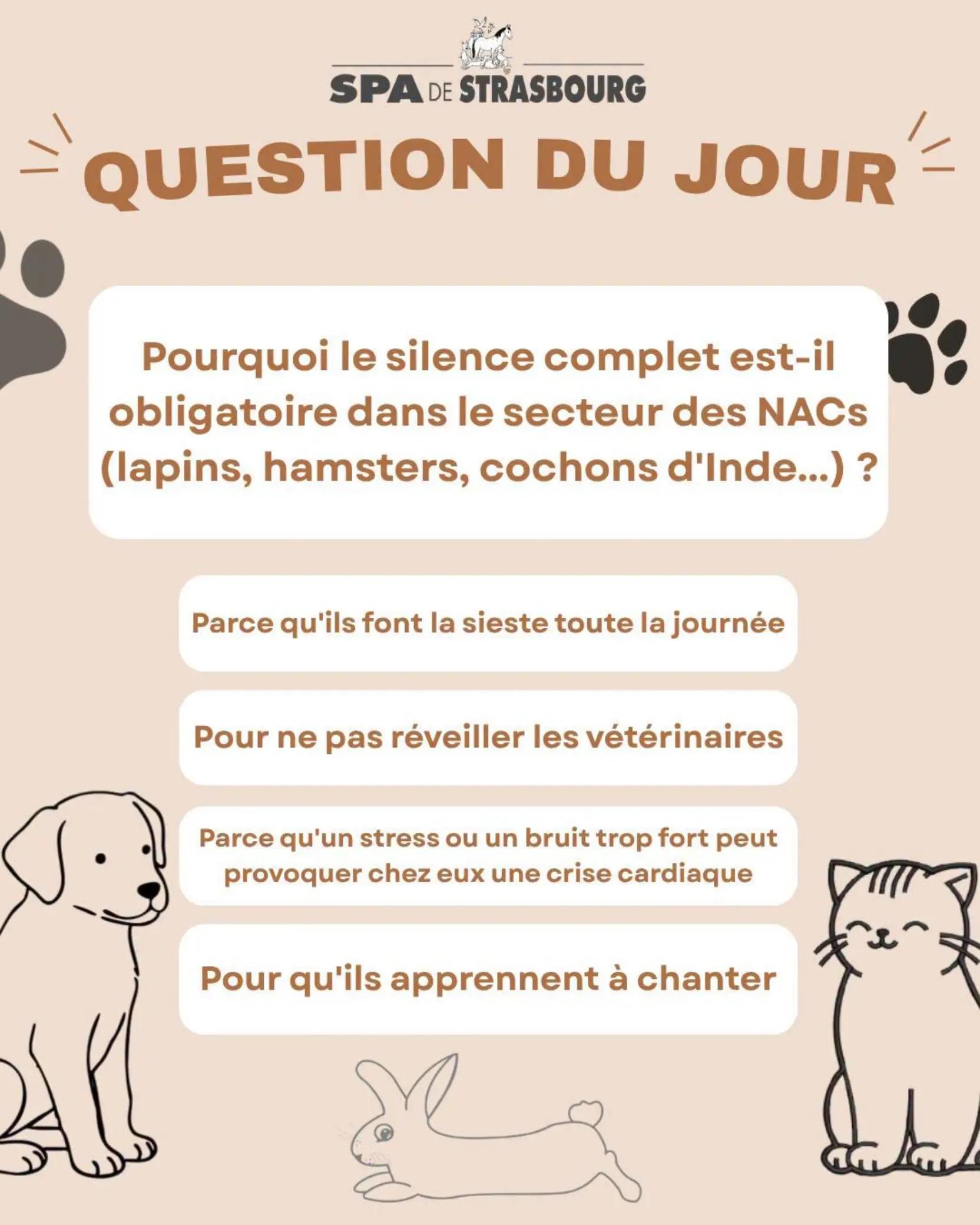 @spa_strasbourg