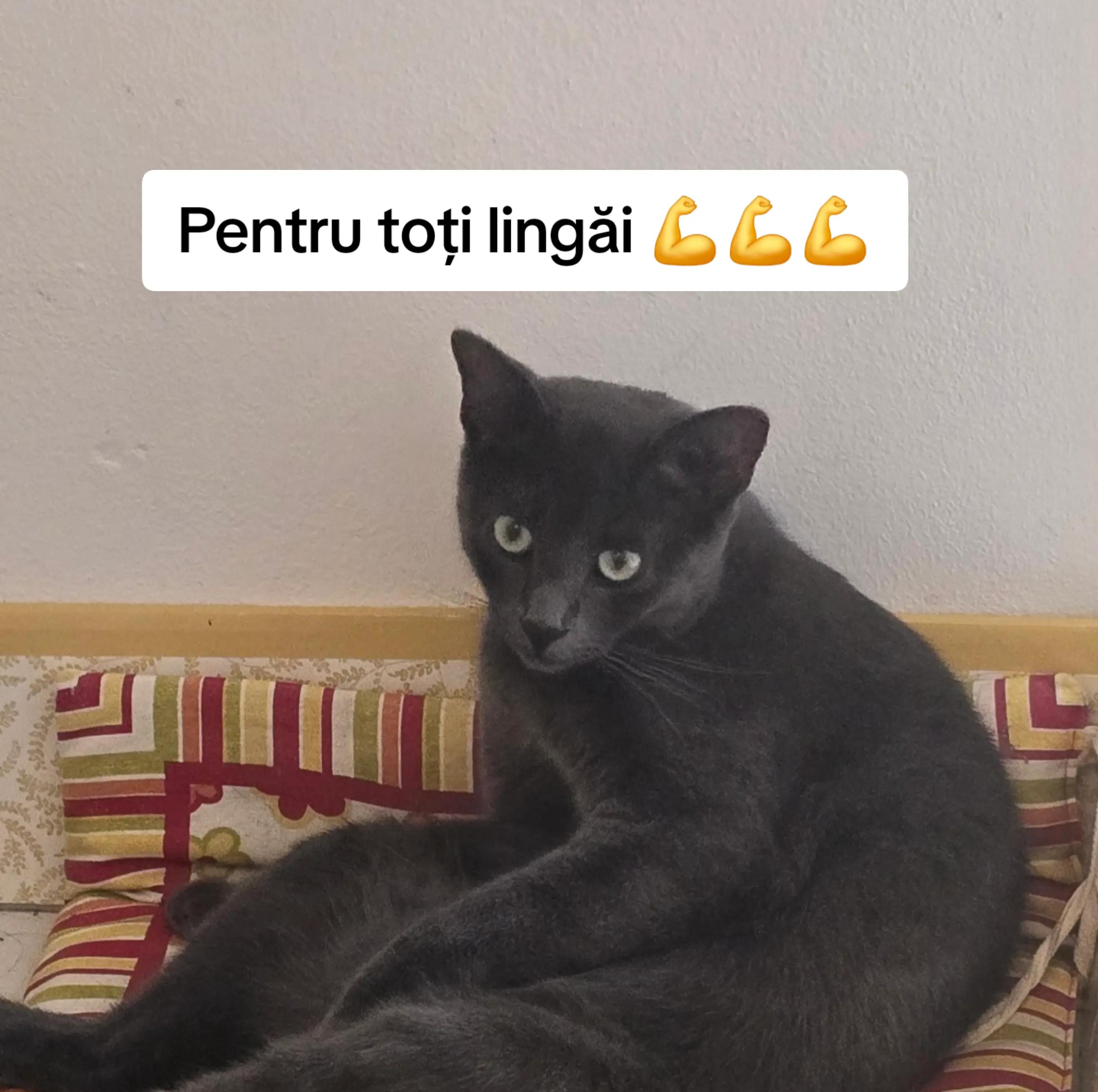 @🫧Doinița🫧