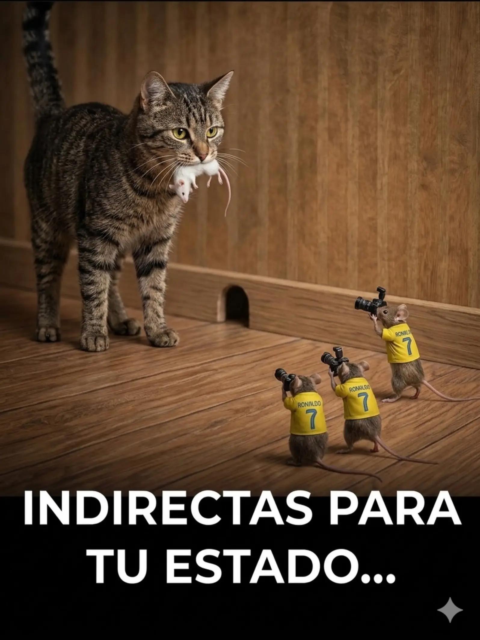 @Sandra