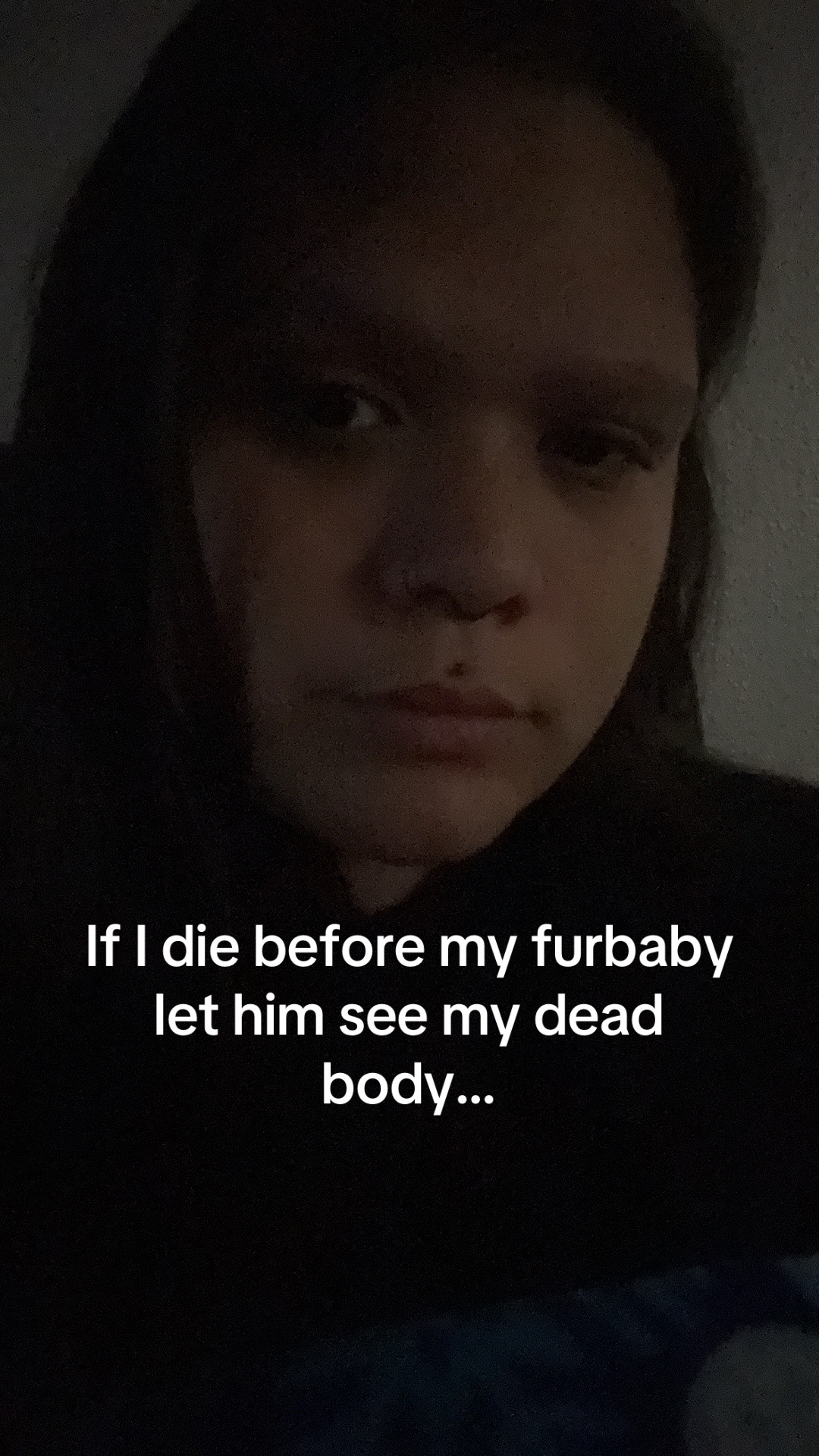 @catgalvan04