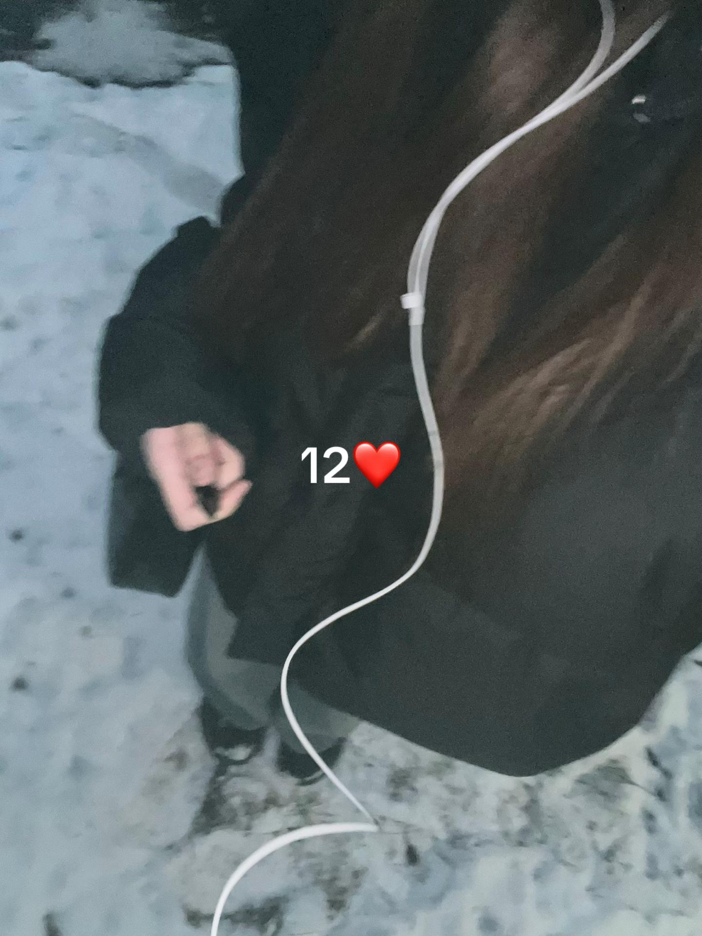 @ирис